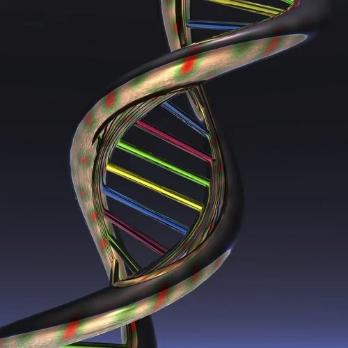 My partner and I both want to have a genetic relationship to our children - any advice?