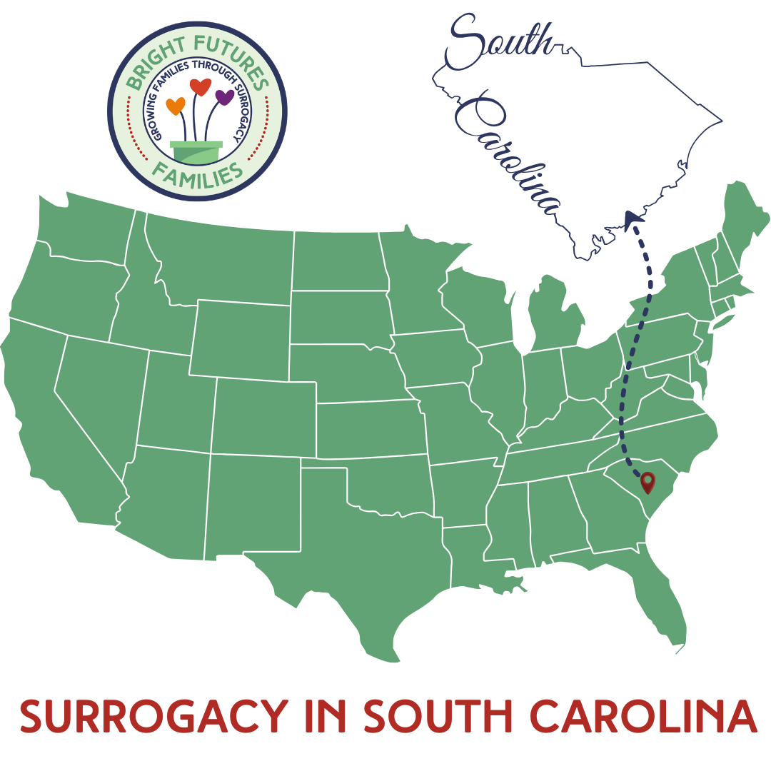 How to Become a Surrogate in Greenville, South Carolina