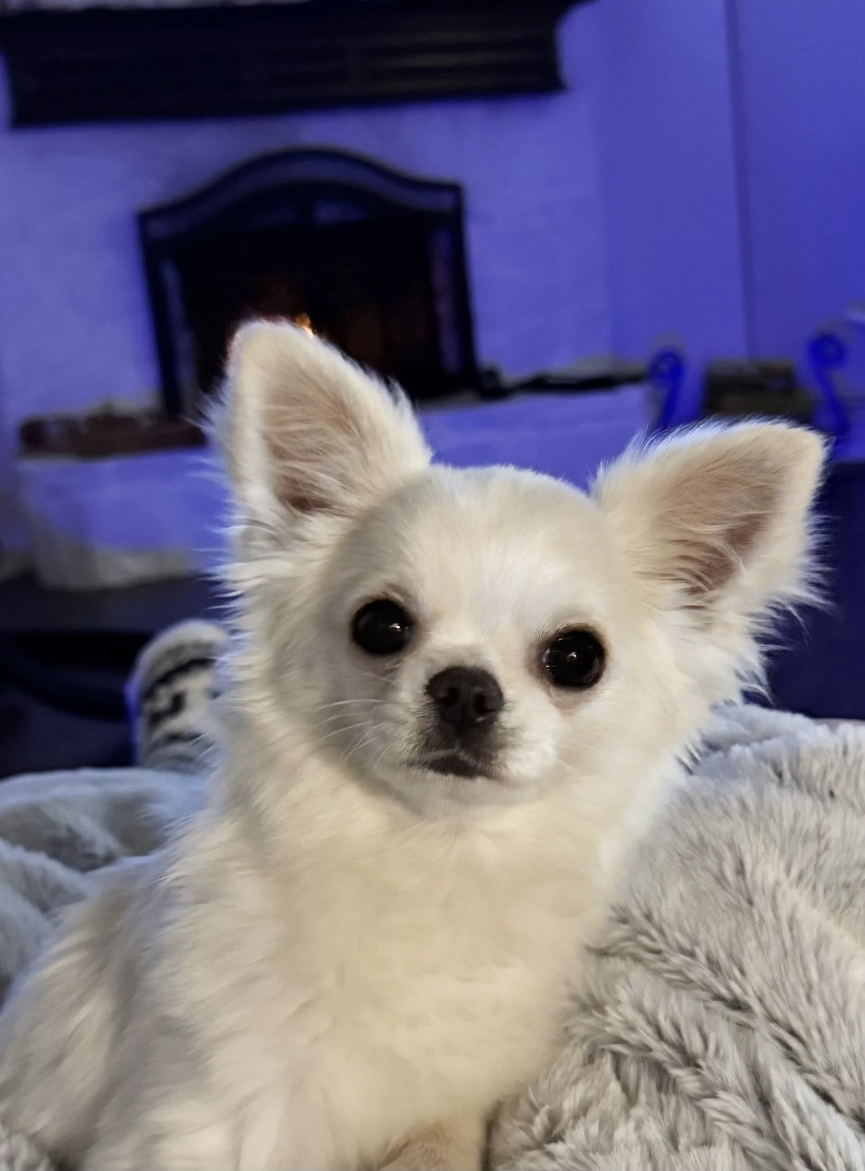 Gestational surrogacy is an amazing gift.  Mothers who choose to become surrogates receive life-changing compensation, in an amount that they choose with Bright Futures Families Surrogacy.