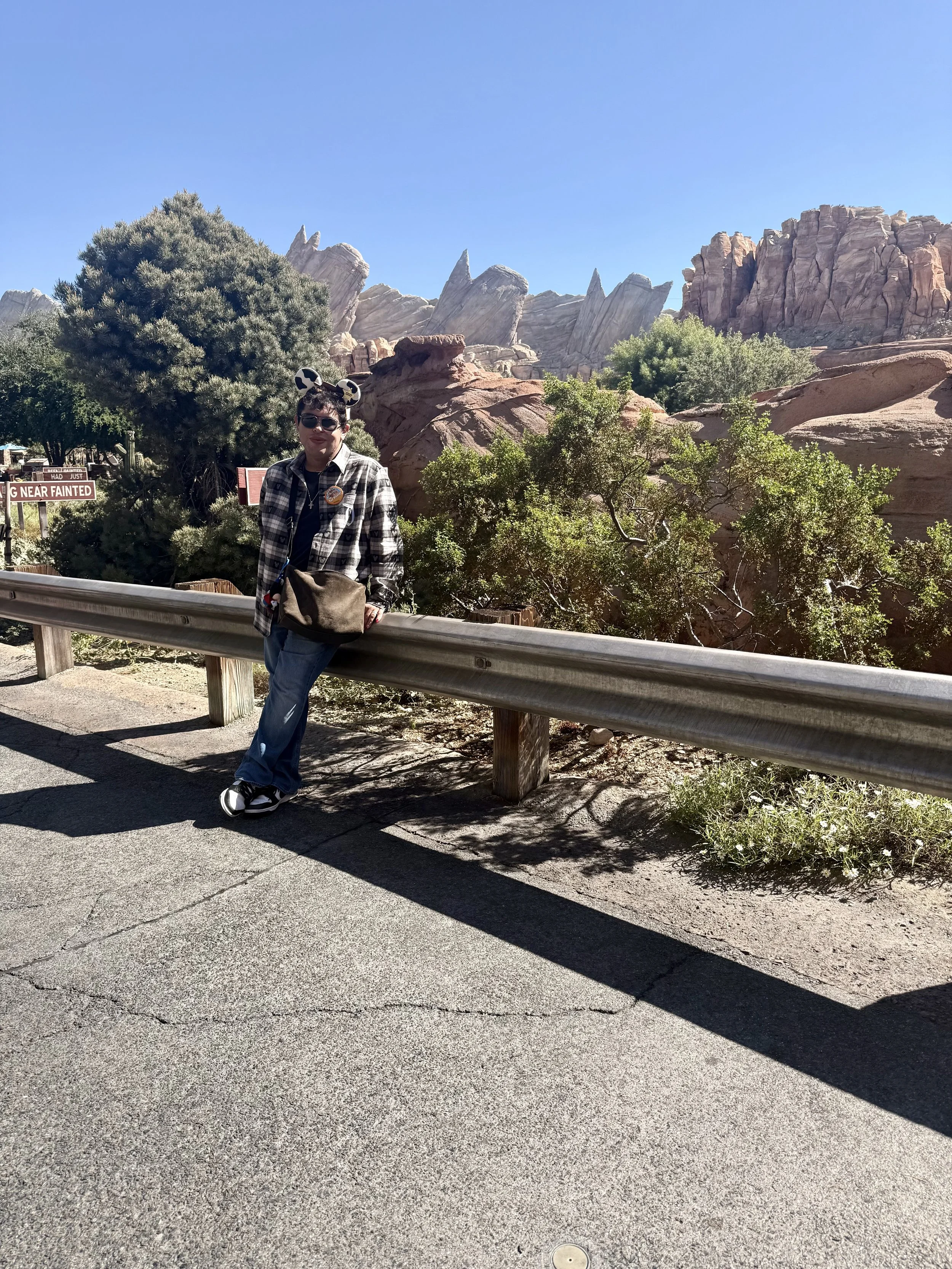 A person wearing a plaid shirt, jeans, and Mickey Mouse ears standing by a guardrail with a desert landscape and rock formations in the background.