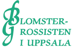 Skärmbild 2026-01-20 140441.png