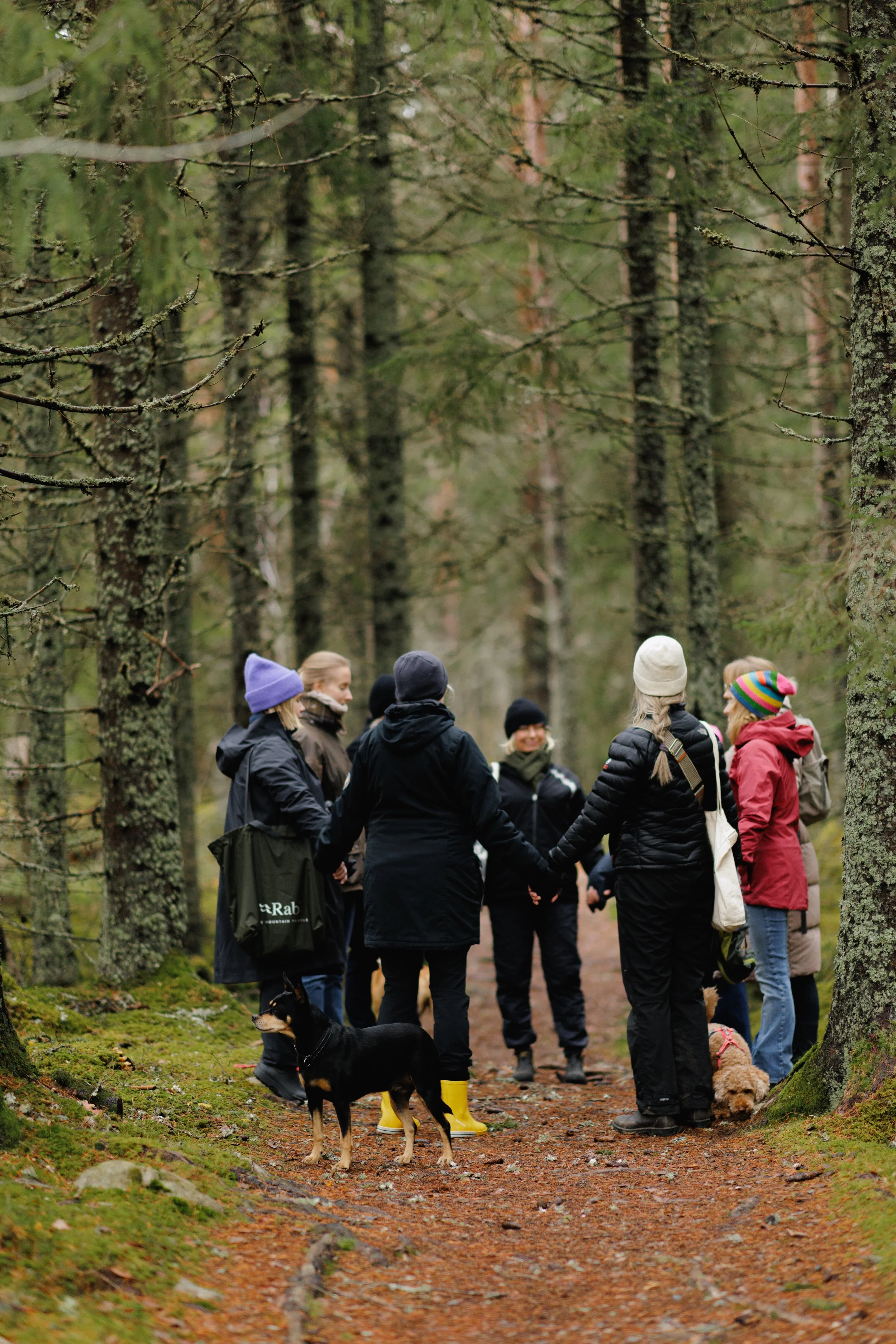 Spring Expansion Retreat at Bredsjö Herrgård | March 19-22