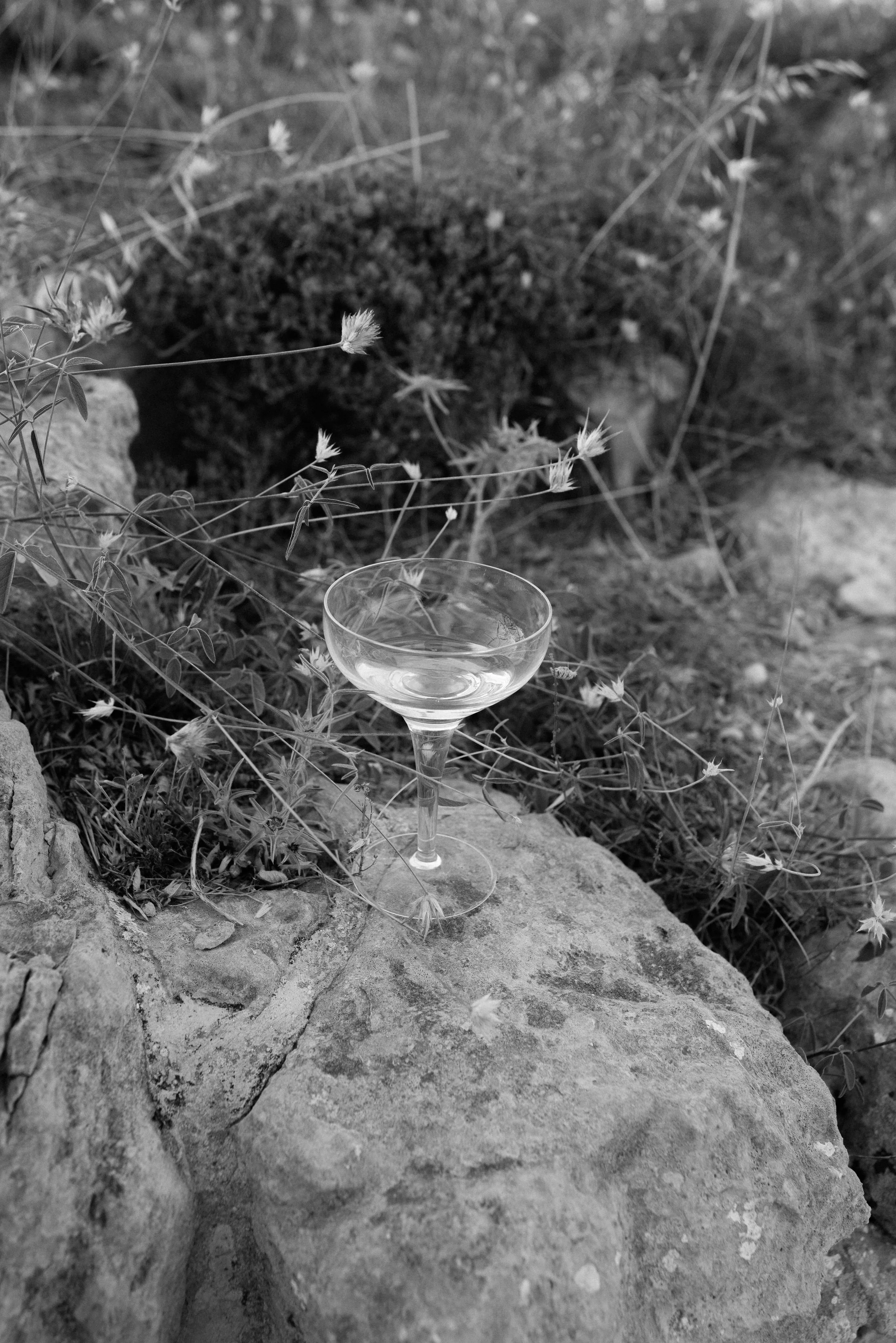 A clear glass coupe on a large rock outdoors, surrounded by grass and small plants.