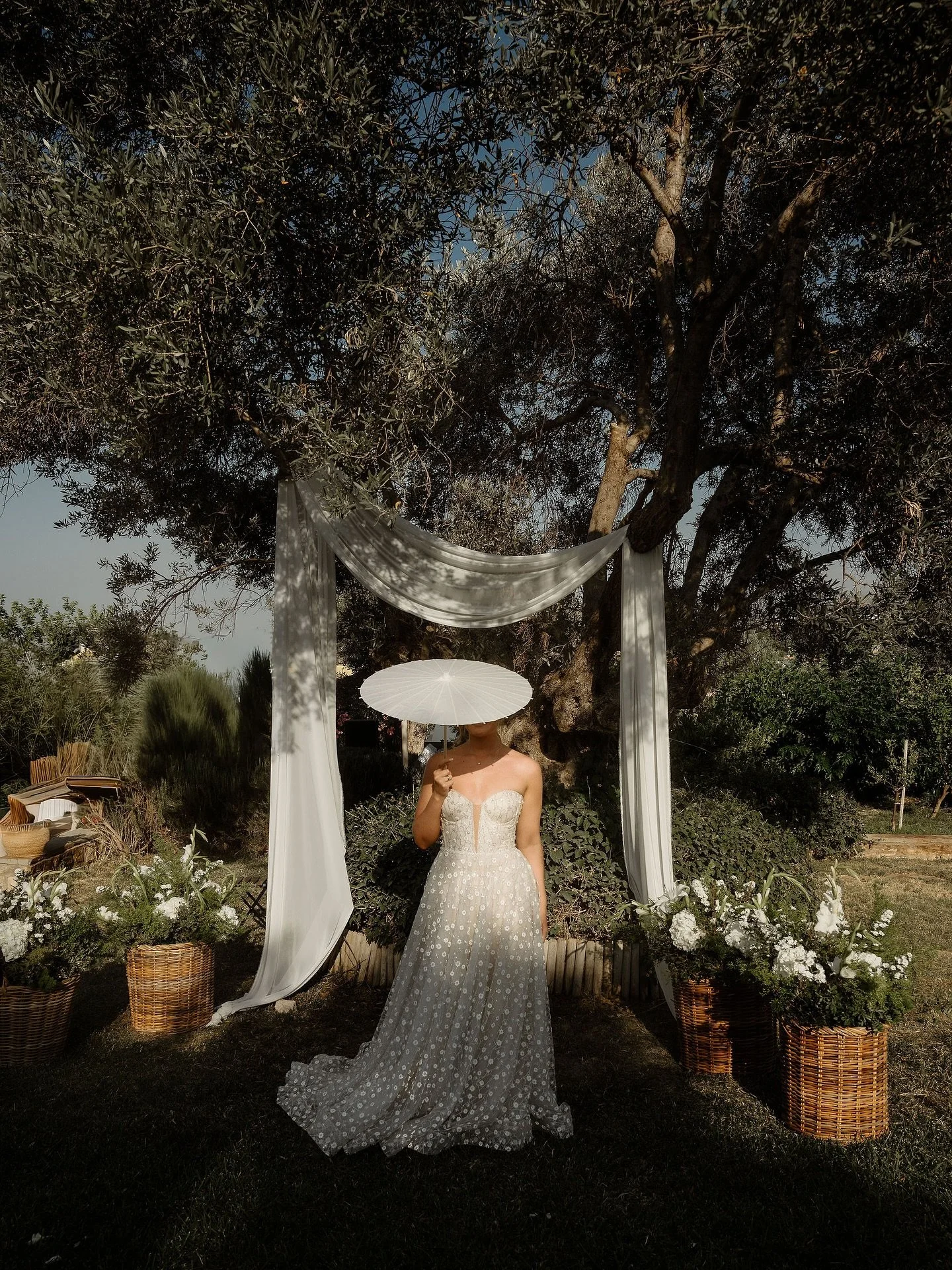 As our wedding season slowly comes to an end, our work continues with planning for the 2026 season. We still have plenty of stories to share.
⠀
Brad and Amelia ☀️
⠀
A beautiful couple who chose to celebrate their wedding day with close friends at a v