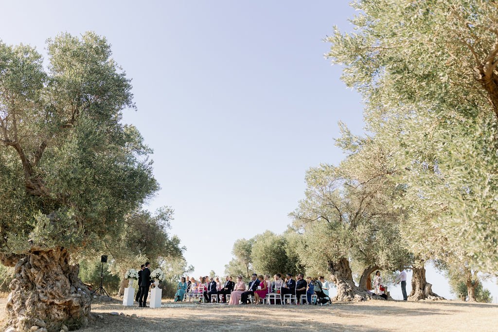 beautiful ancient olive grove in crete for weddings