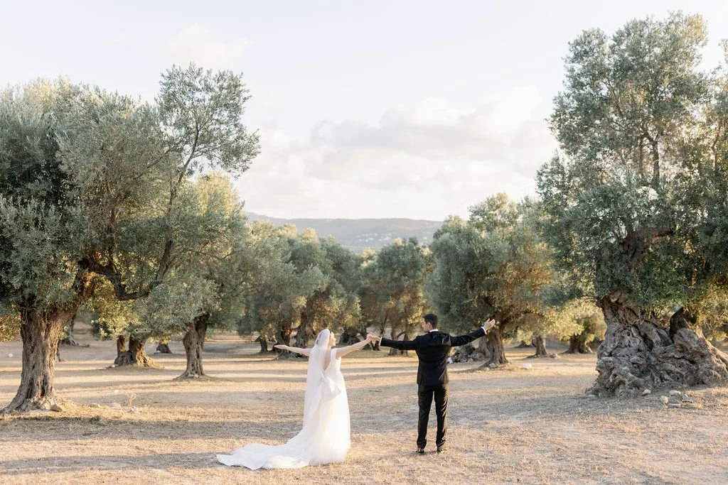 Bride and groom in a field with olive trees during sunset, holding hands with arms outstretched.