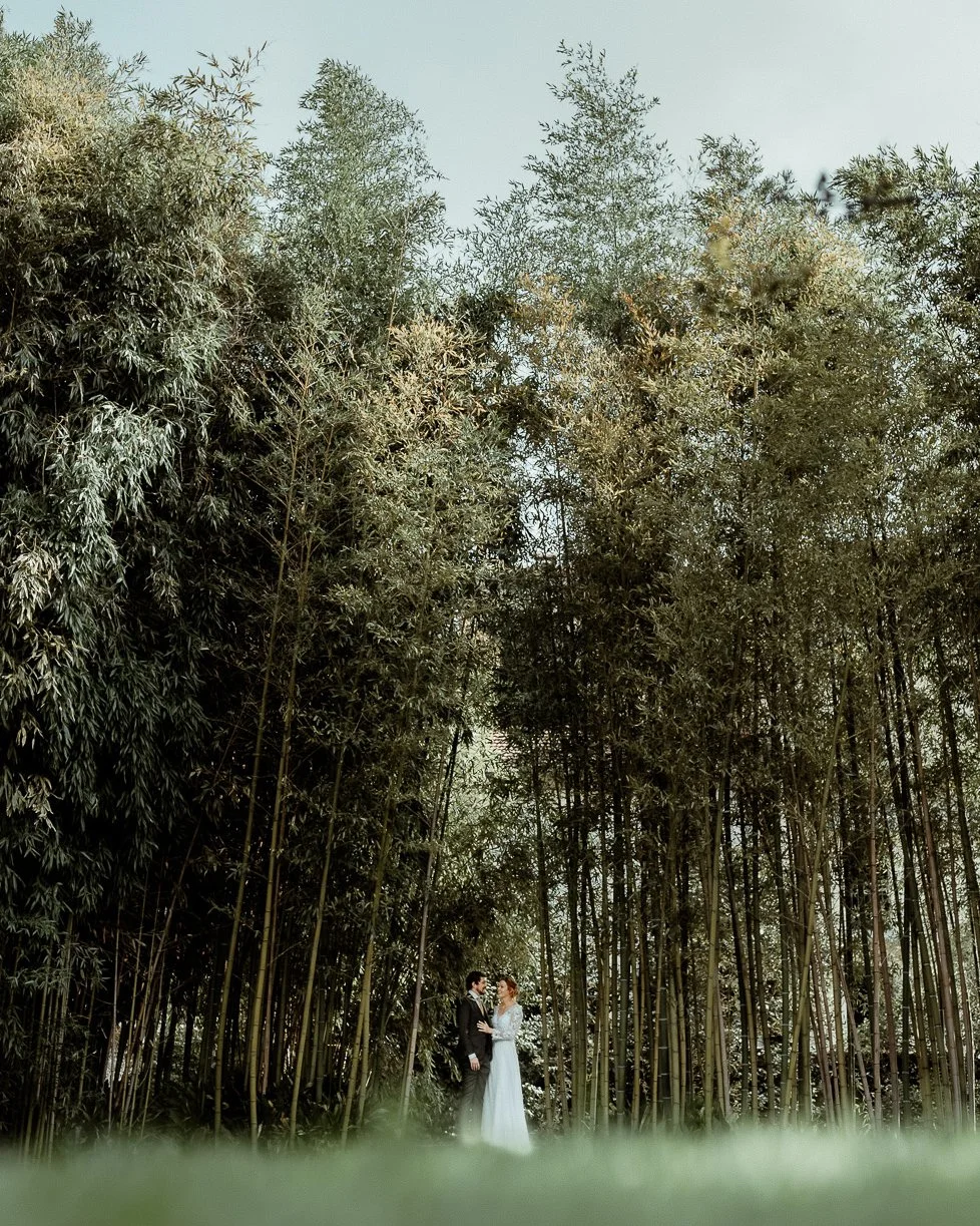 DSC01752 -  - Lake Como.jpg