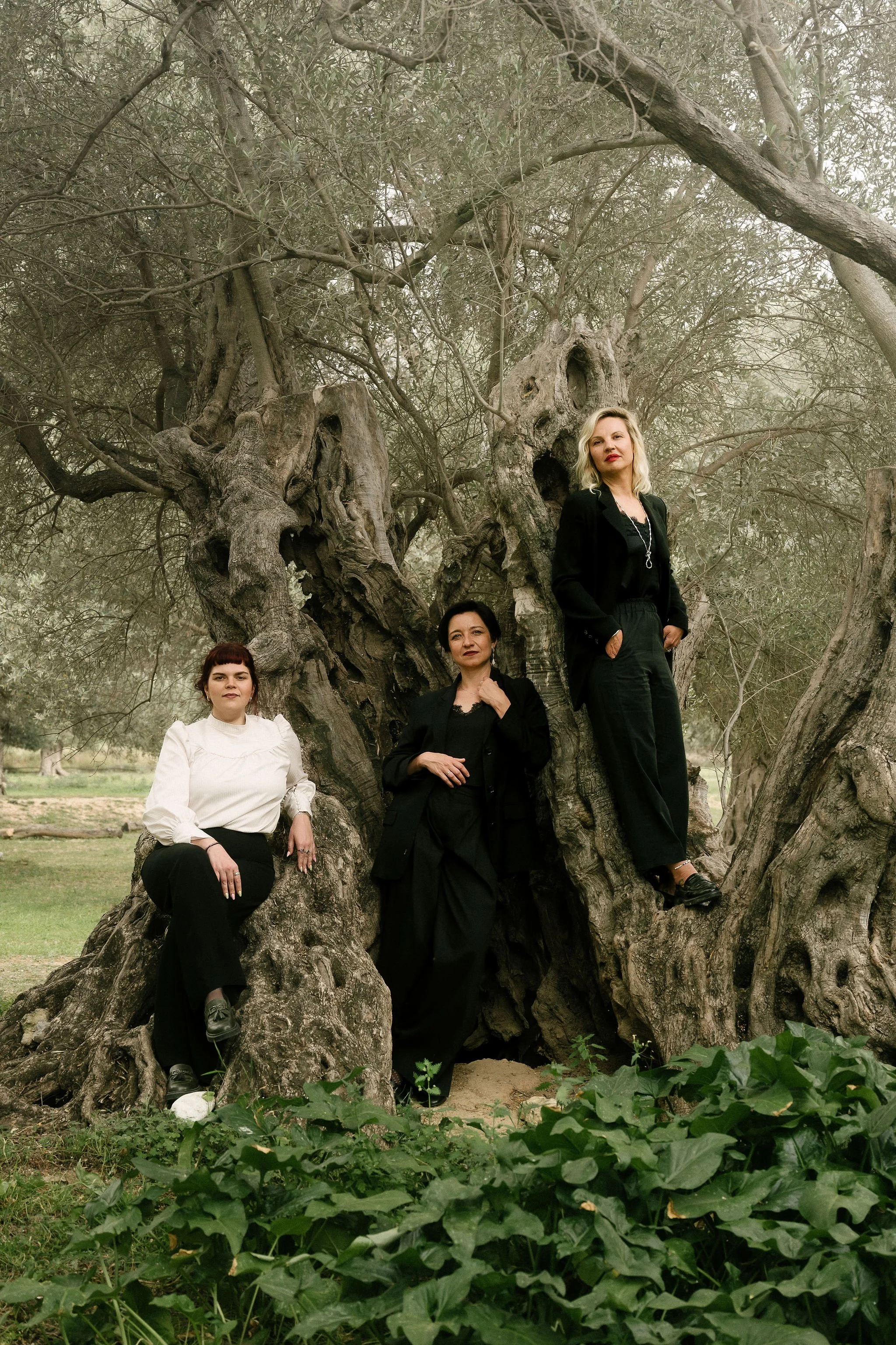 When to Book Your Wedding Planner.