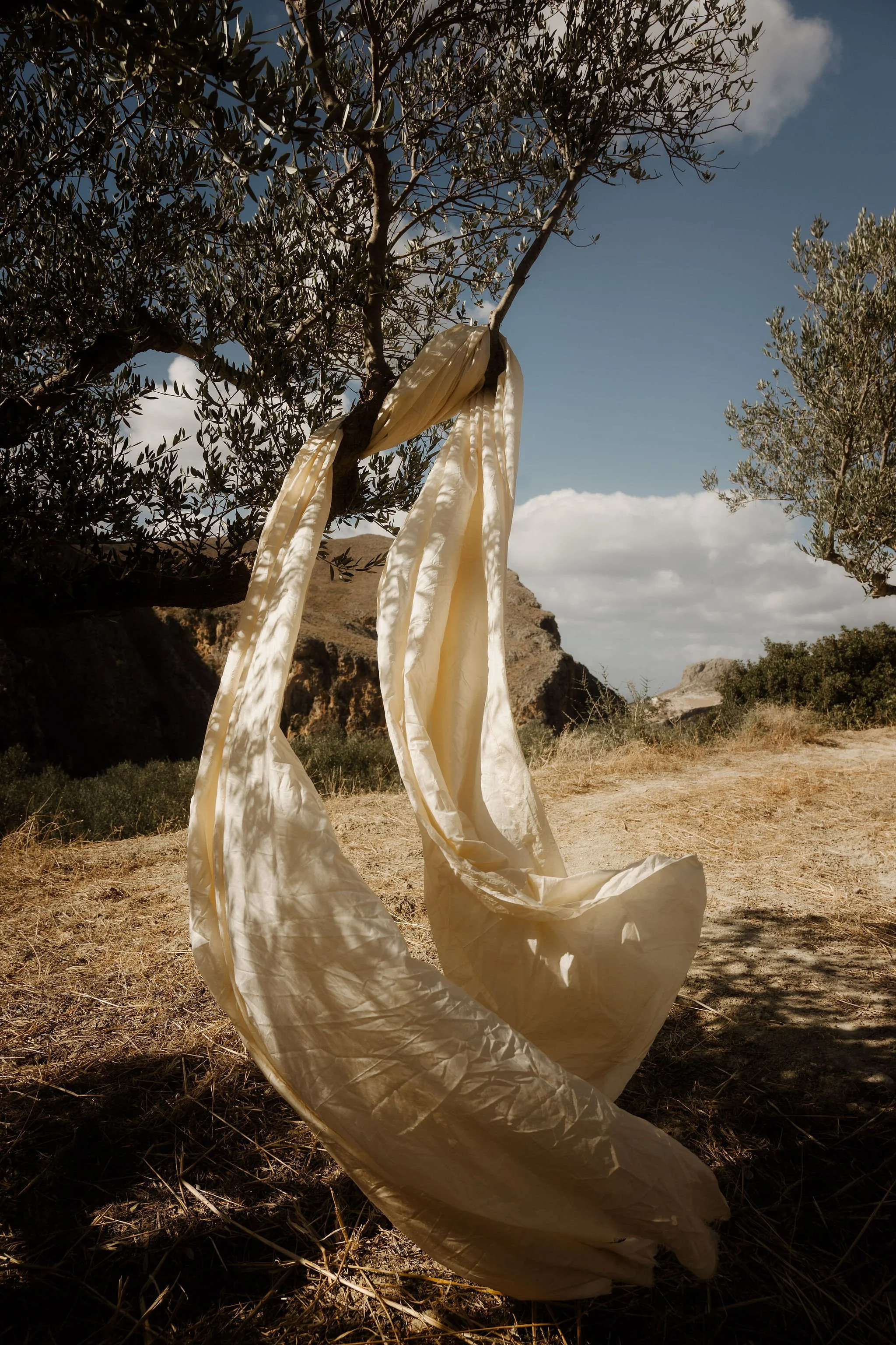 A long, flowing, cream-colored fabric draped over a tree branch in a dry, grassy outdoor area with rocks, bushes, and a partly cloudy sky in the background.
