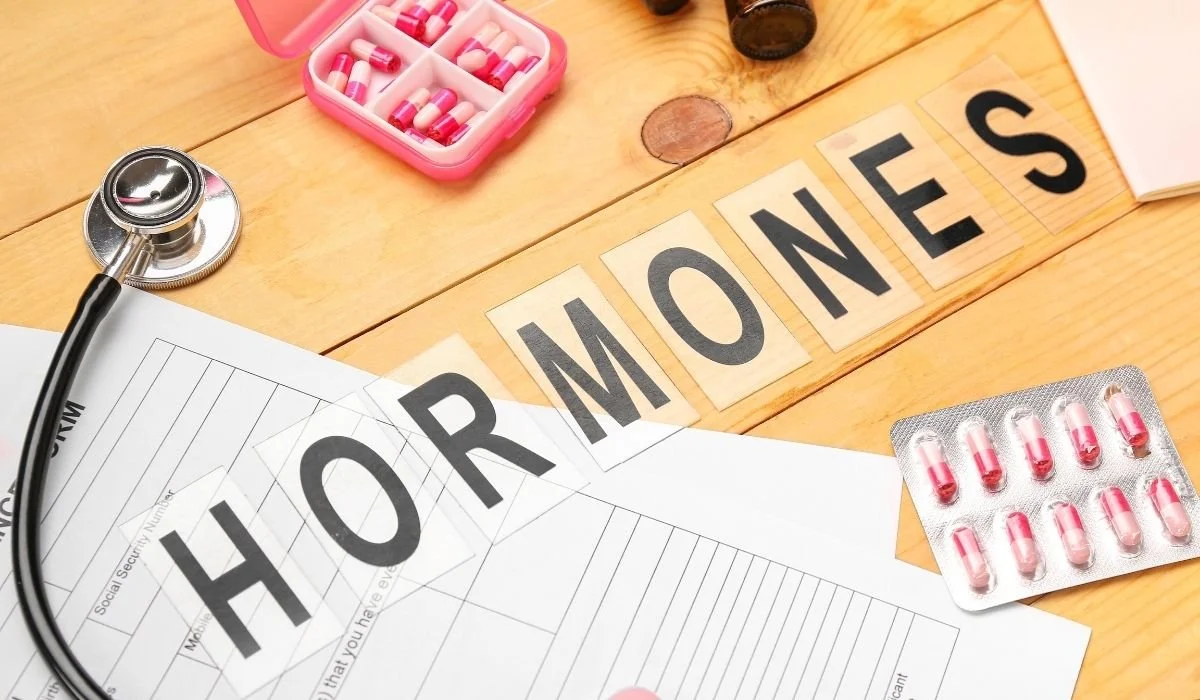 Hunger Hormones</span>