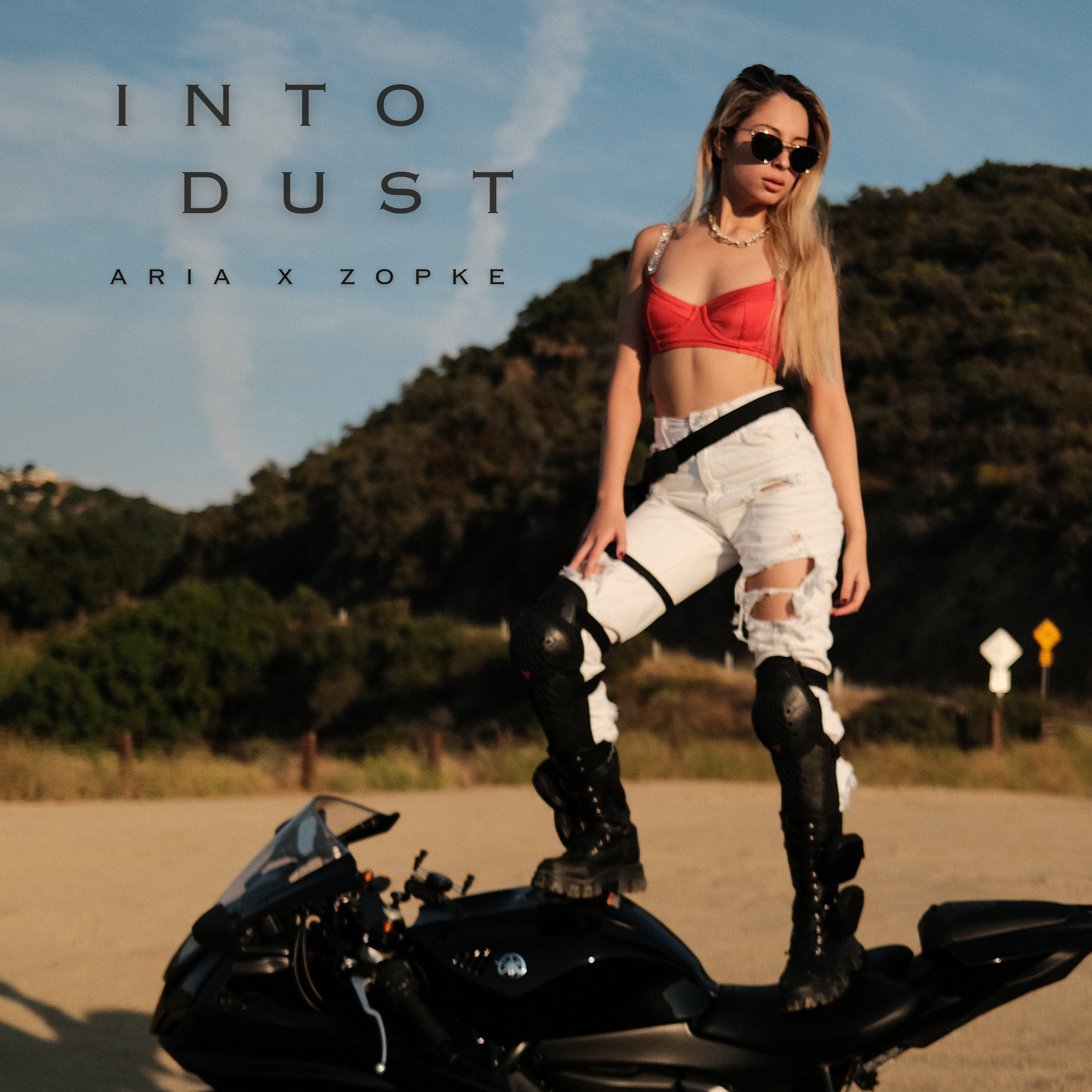 INTO DUST- ARIA X ZOPKE.png