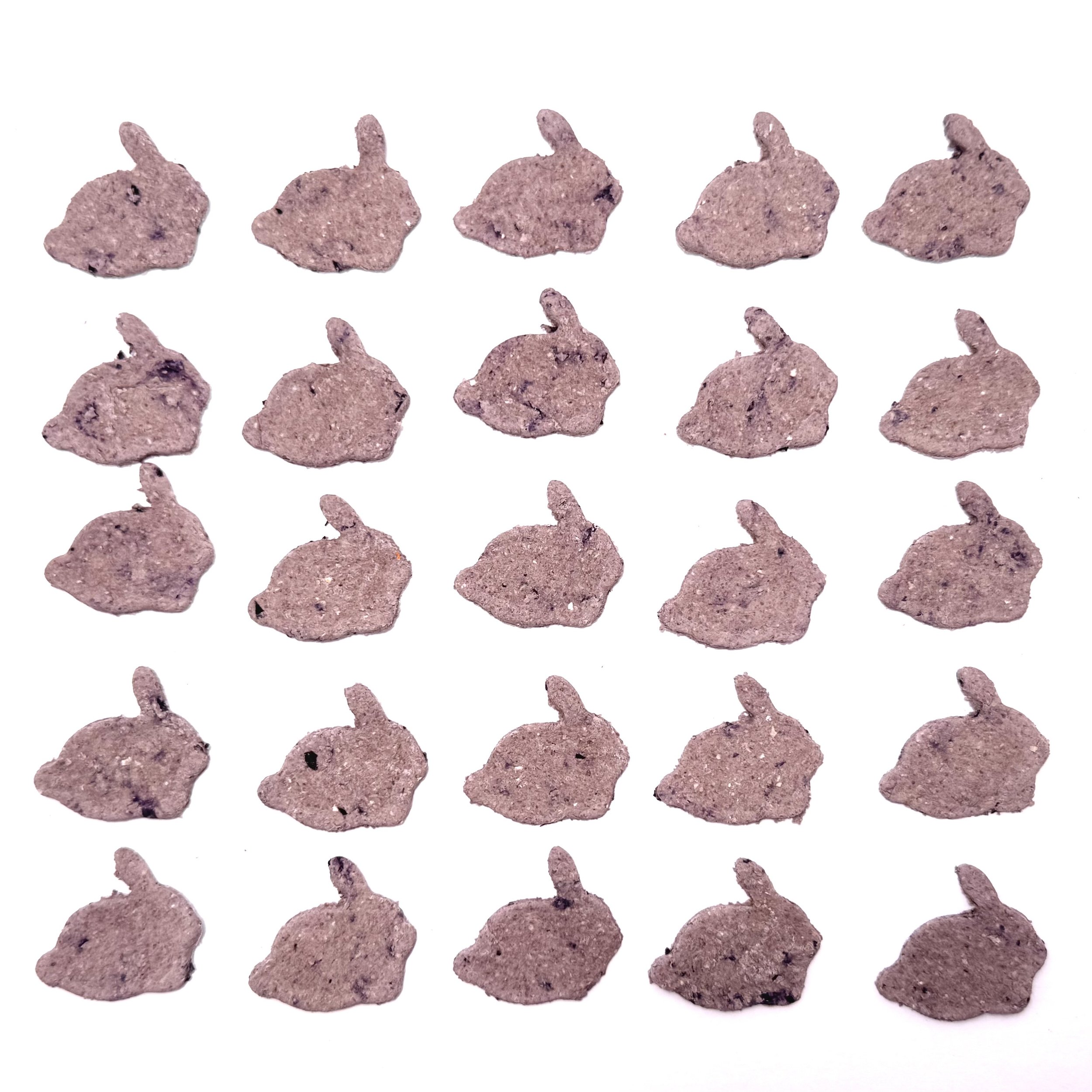 bunny bites 2.jpeg