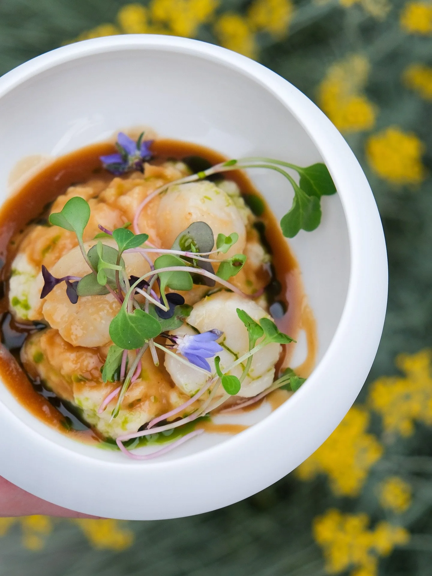 Ontdek onze elegante smaakbom: coquilles met een zijdezachte bite en een intense smaakbeleving. 

Een absolute favoriet bij uw gasten.

#cateringcuisine #finecatering #privatecatering #events