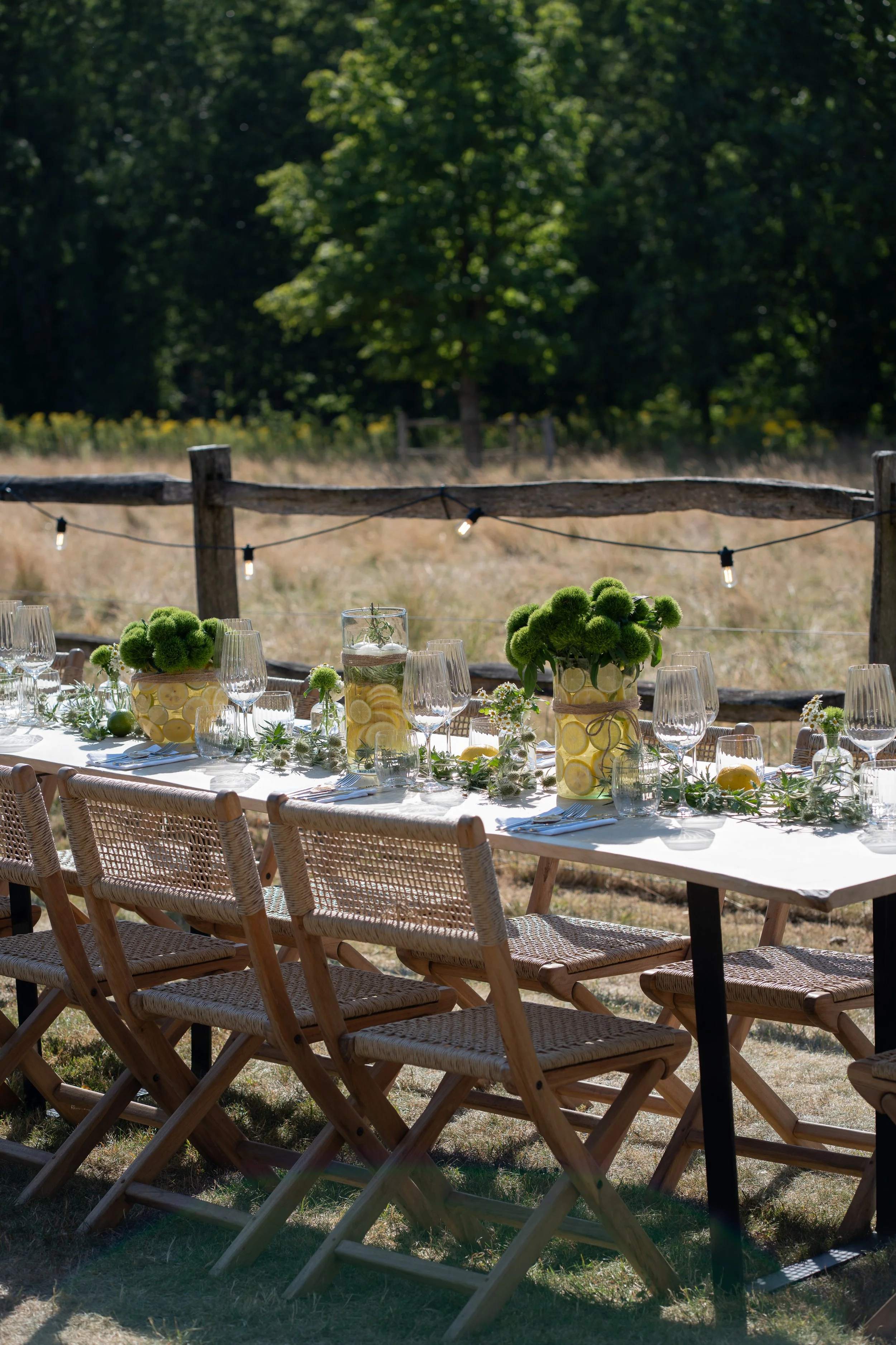 Outdoor dining area with a long table set with wine glasses, napkins, and cutlery, under a tent with string lights and surrounded by greenery.