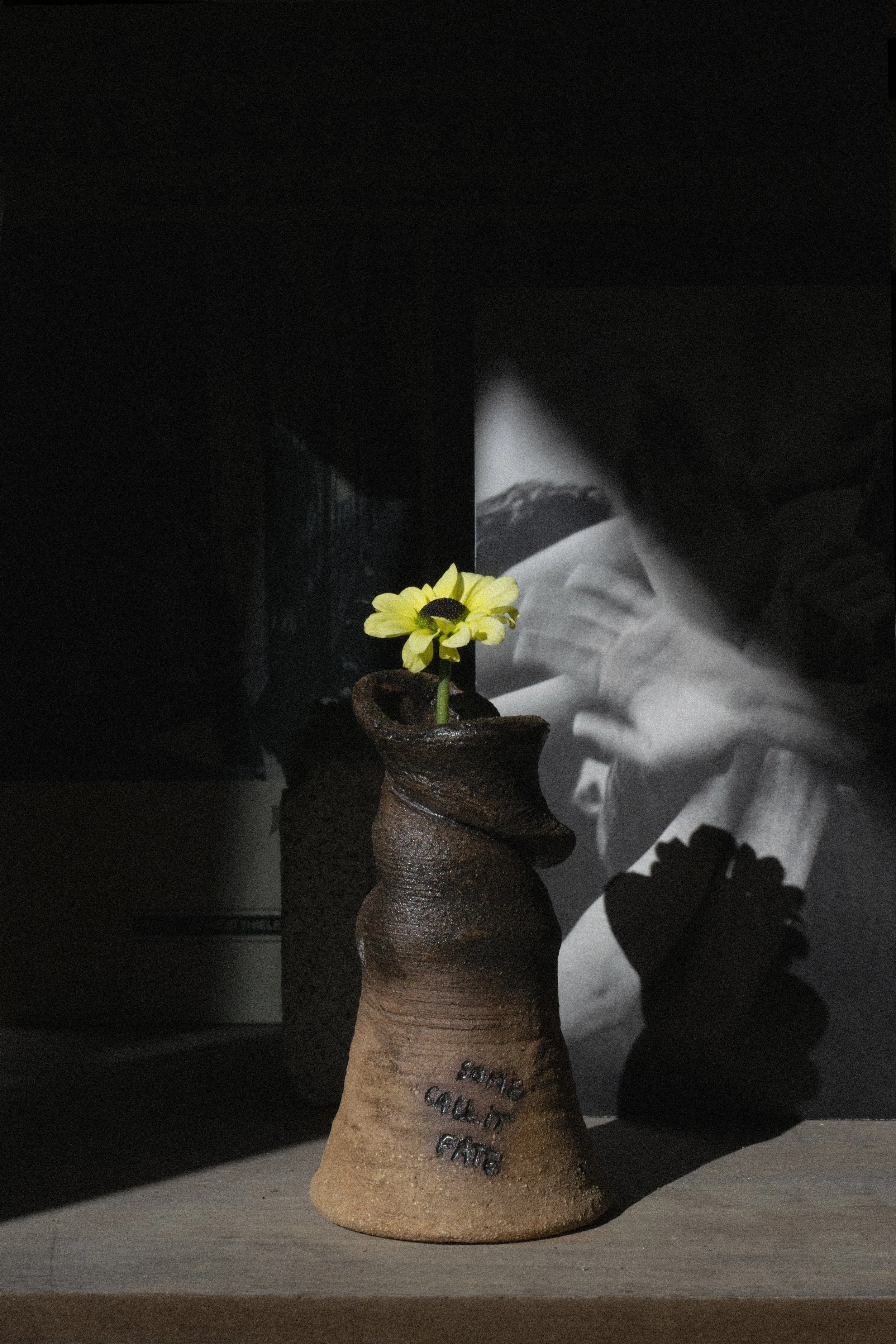 the murakami sheep chase