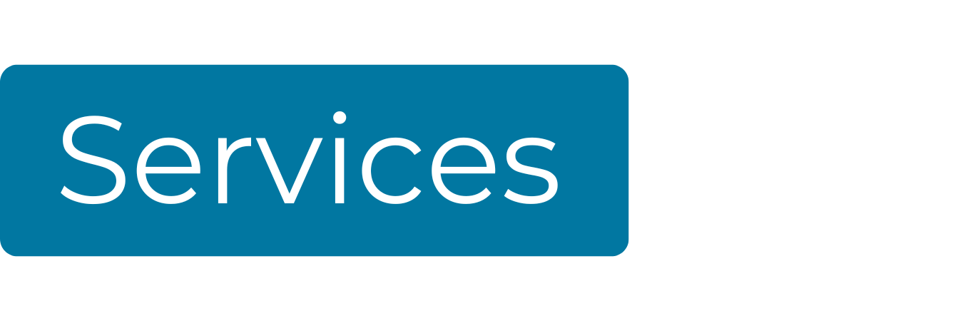 Blue rectangular button with white text that says 'Services'.