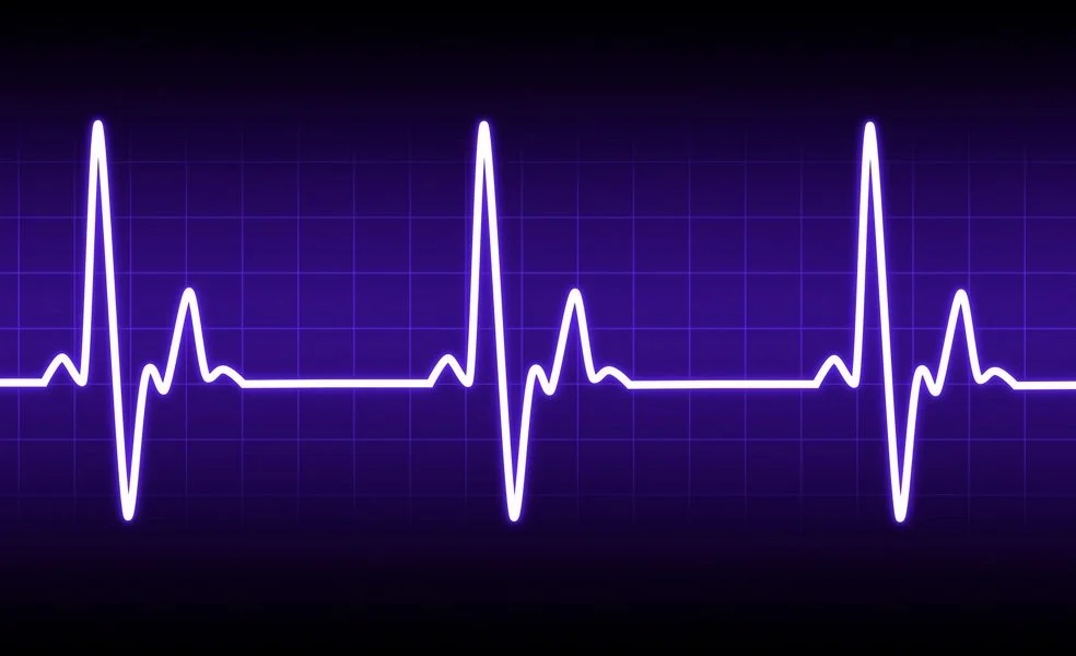 Proof of Life: Why Your Business Needs a Digital Pulse