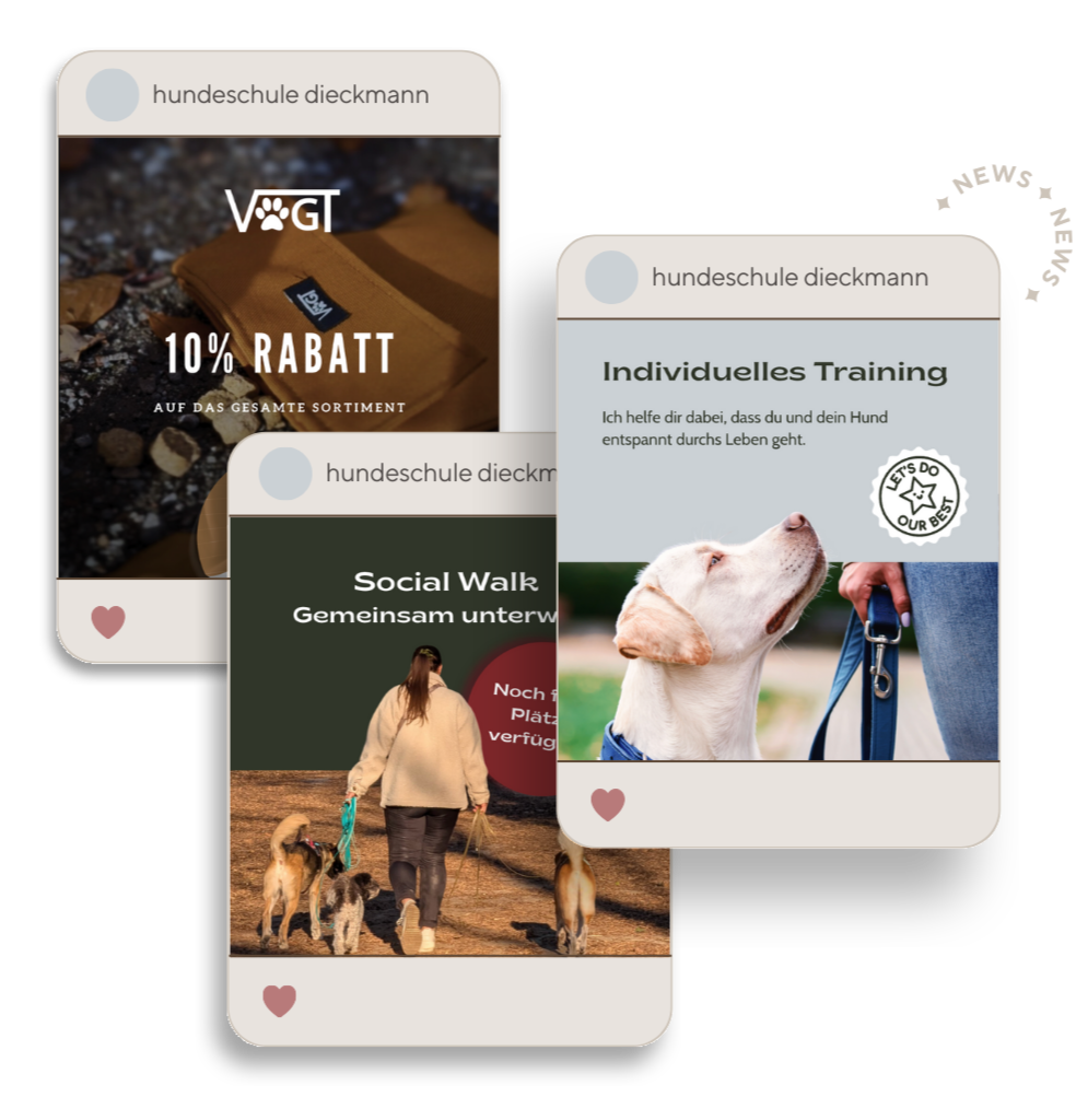 Drei digitale Werbeanzeigen für eine Hundeschule. Das erste Angebot bewirbt 10% Rabatt auf das gesamte Sortiment, das zweite zeigt ein Fotos eines Menschen, der mit mehreren Hunden beim Gassigehen unterwegs ist, und das dritte bietet ein individuelles Hundetraining mit einem Bild eines Labradors, der an der Leine an einer Person zieht.