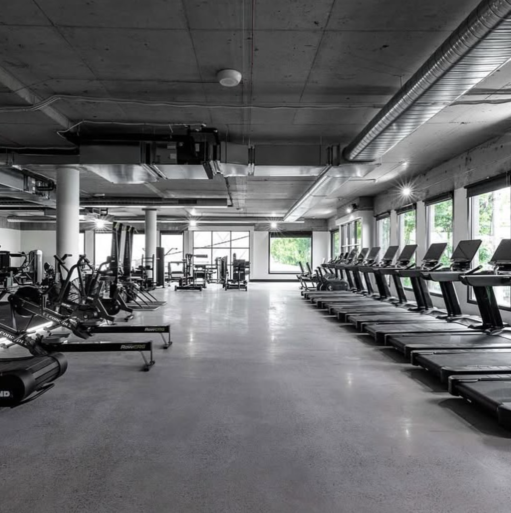 Gym.PNG