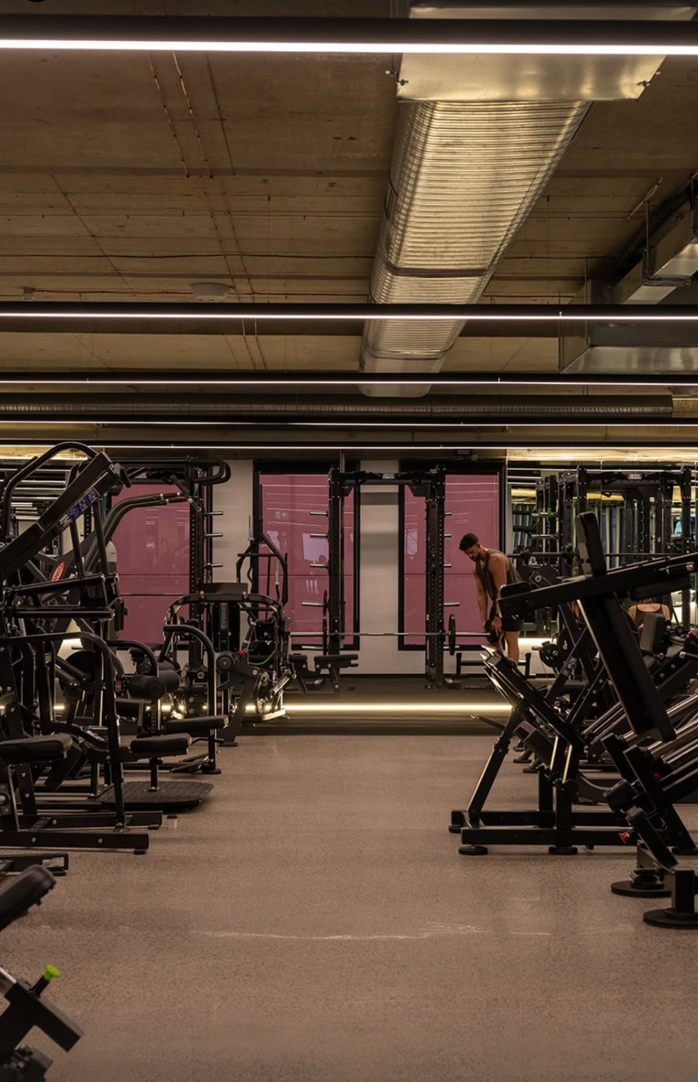 Gym 3.PNG