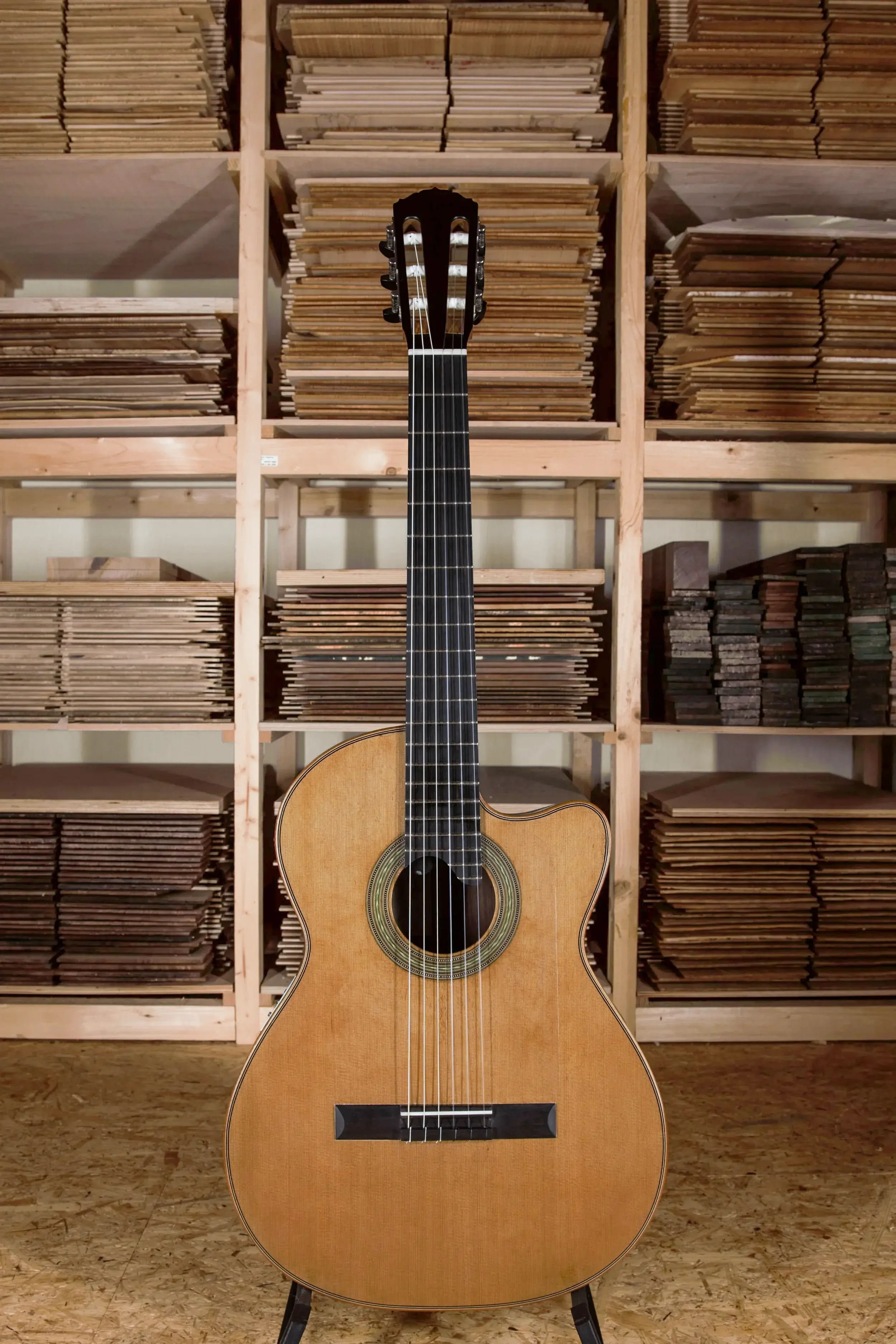 Crossovergitarre Palisander/Zeder 2009