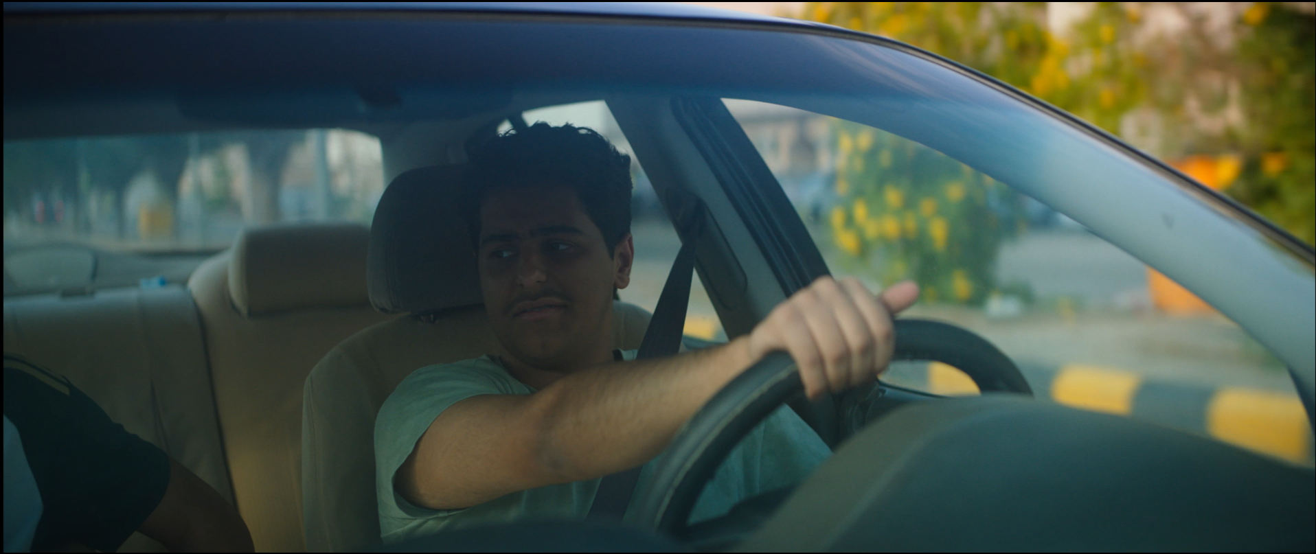 Young man with dark hair driving a car, wearing a light-colored t-shirt, with a seatbelt on, looking to his left.