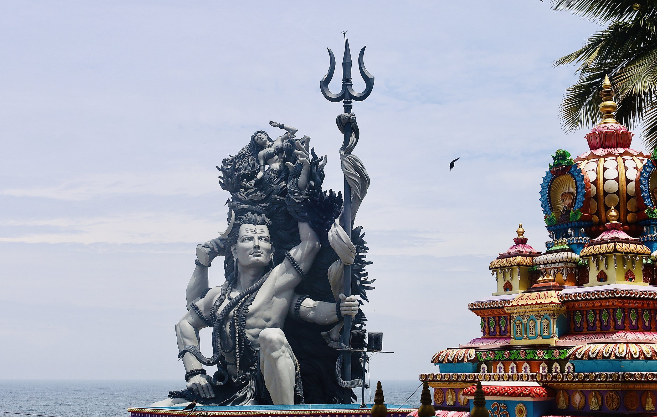 God, his temple, tree and bird, Kerala in 2022