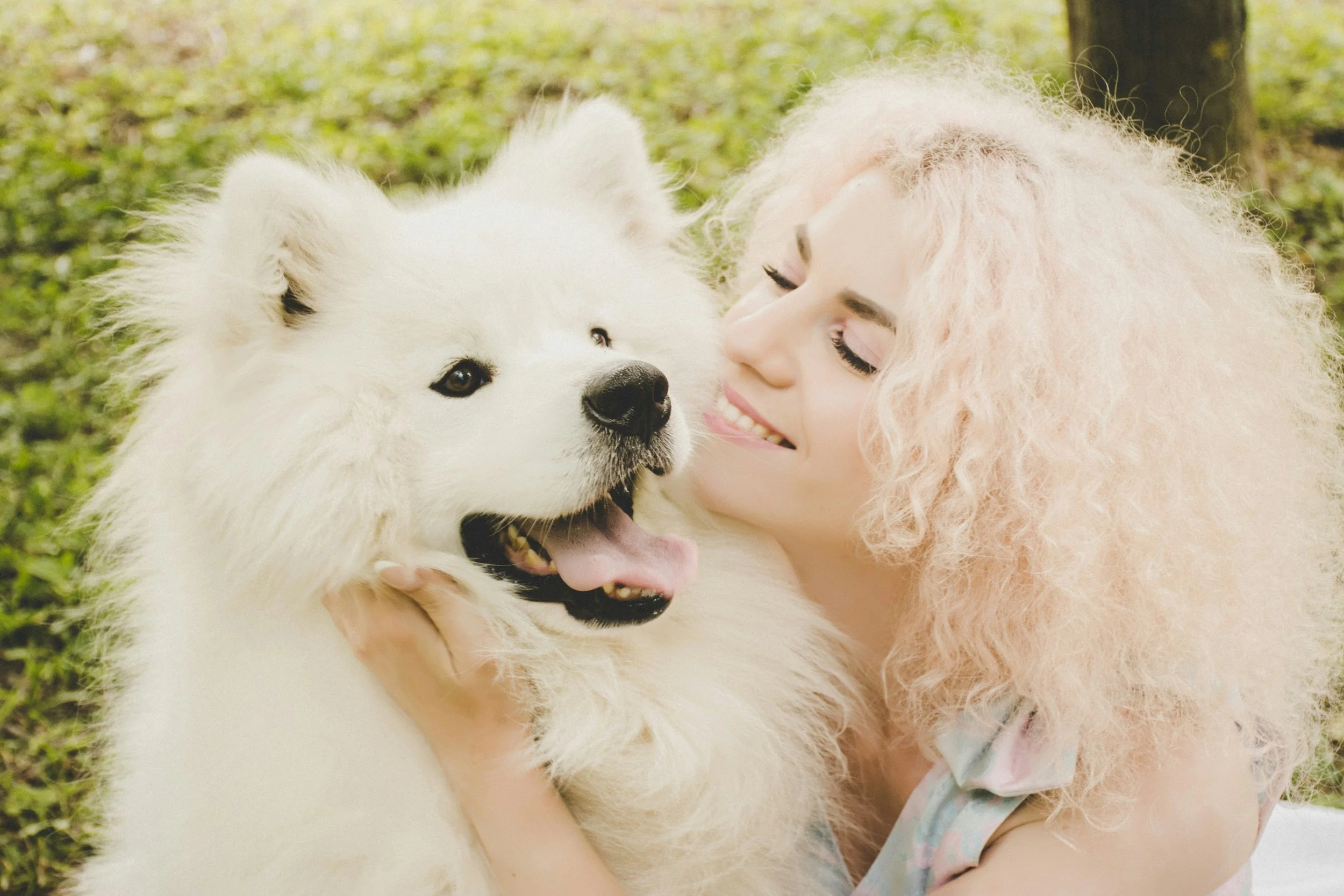 Dog is important for dog owners.jpg