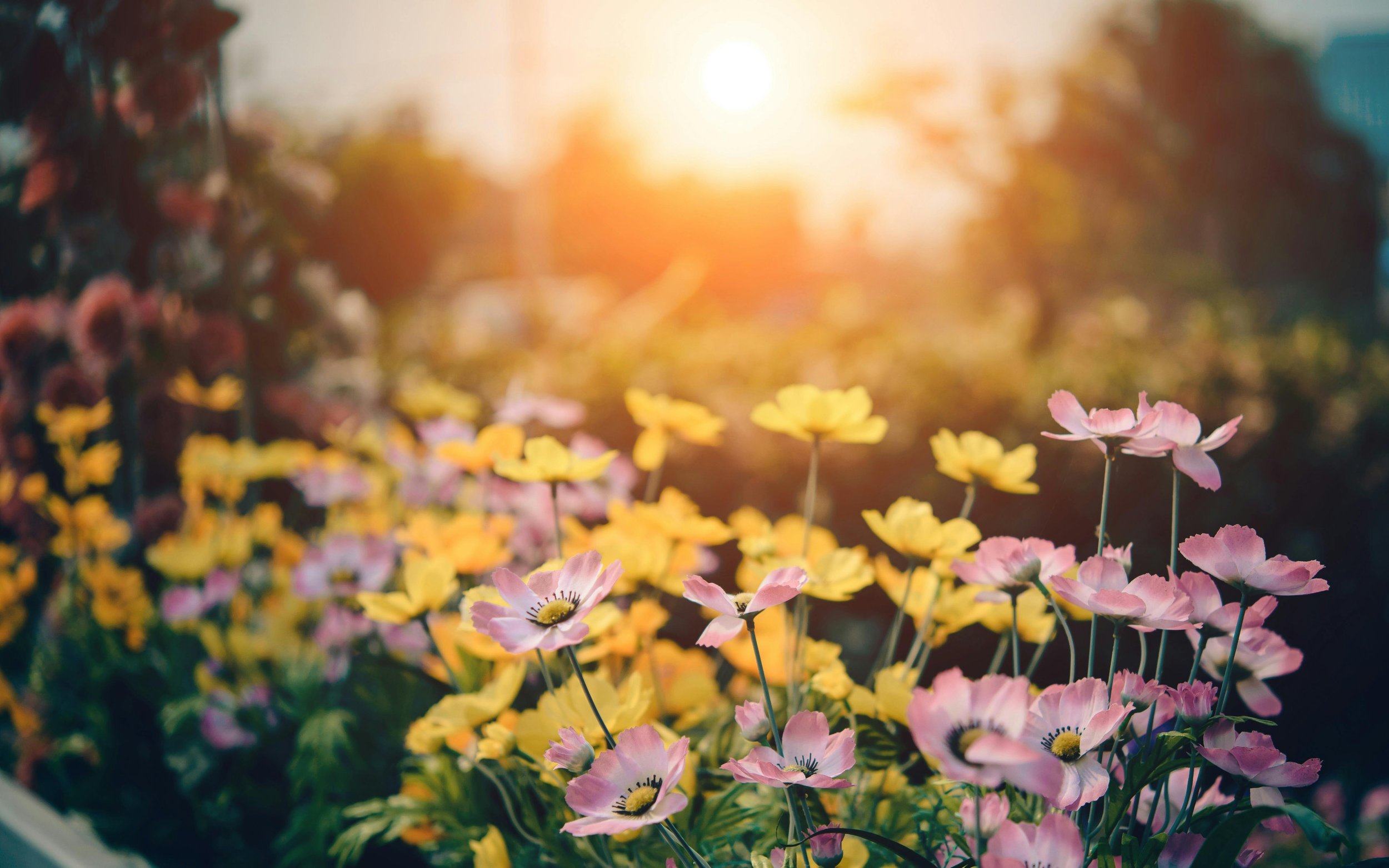 Creative and Meaningful Ways to Honor a Lost Loved One