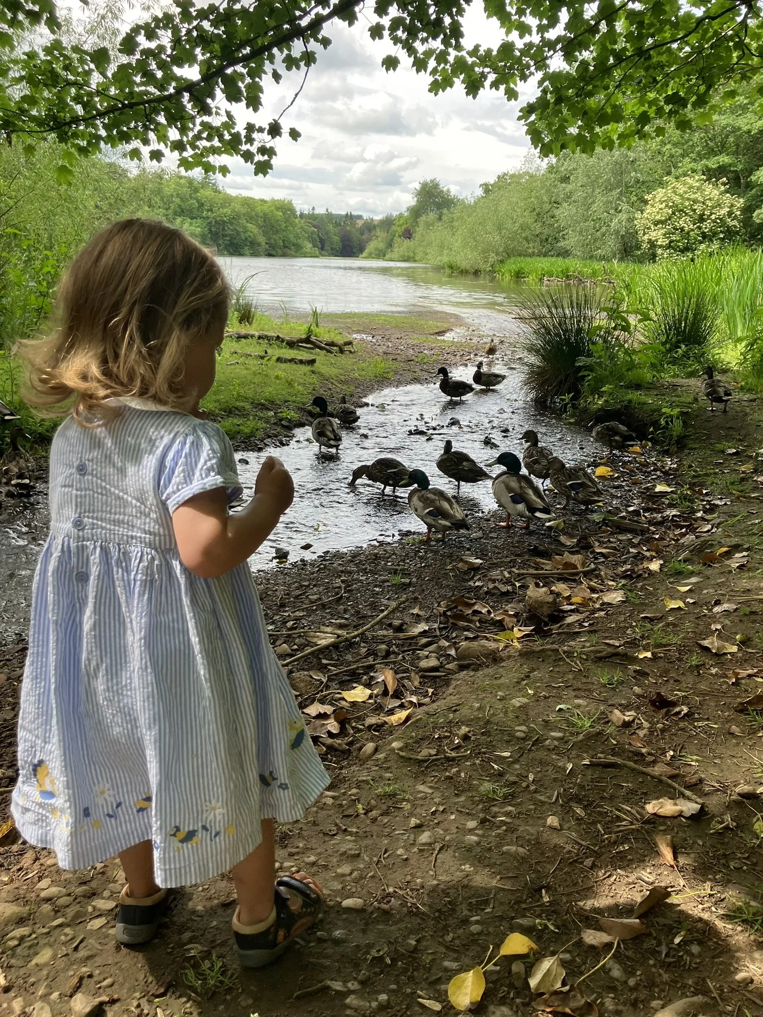 Discover Fyvie Castle: A Family Day Out in Aberdeenshire