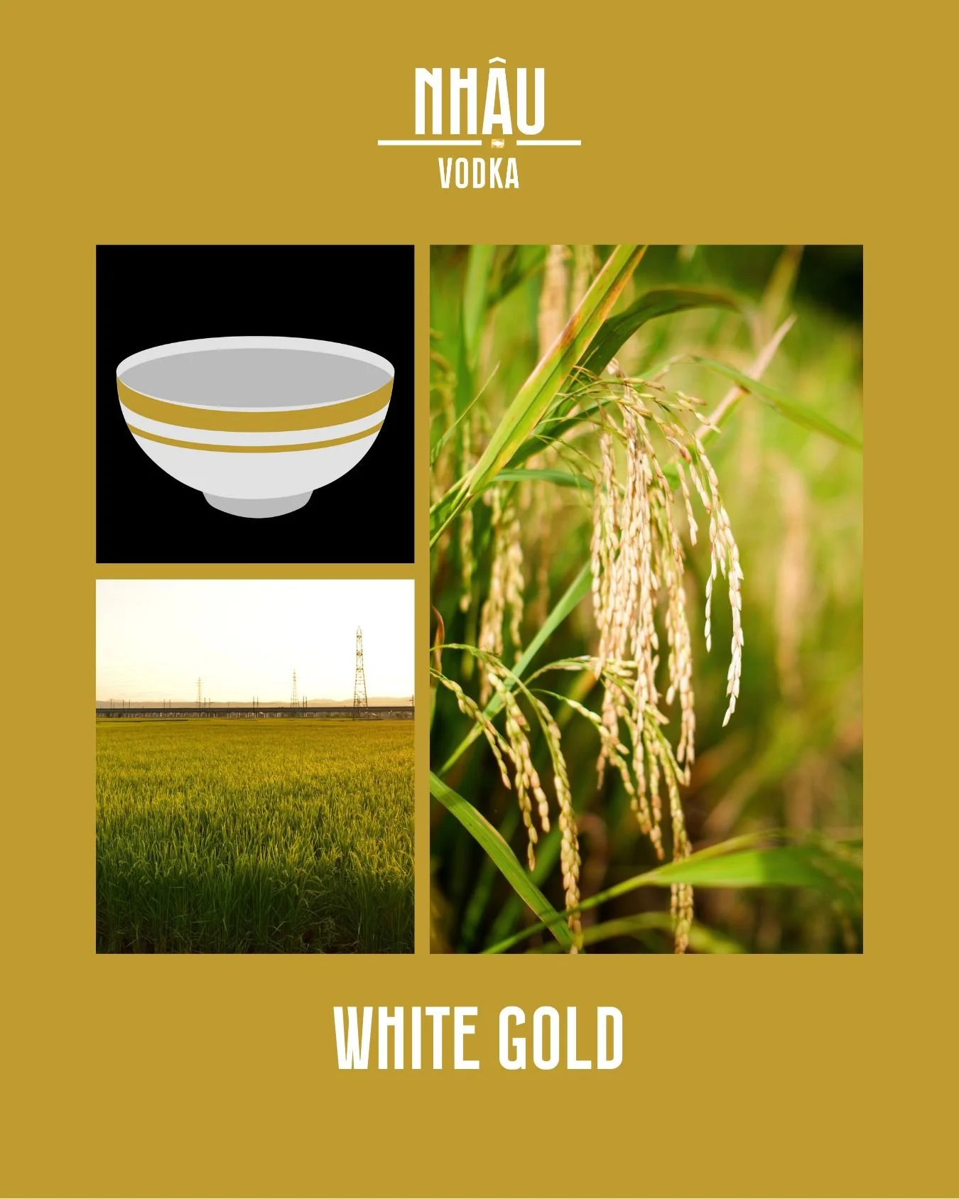 Hạt Ngọc Trời Cho &ndash; Để Nhậu c&ugrave;ng nhau
𝗪𝗵𝗶𝘁𝗲 𝗚𝗼𝗹𝗱 - 𝗠𝗮𝗱𝗲 𝗳𝗼𝗿 𝗡𝗵𝗮̣̂𝘂
[Tiếng Việt b&ecirc;n dưới]

Rice has long been part of everyday Vietnamese life.
It&rsquo;s on our tables, in our stories, at every gathering. 🍚

At