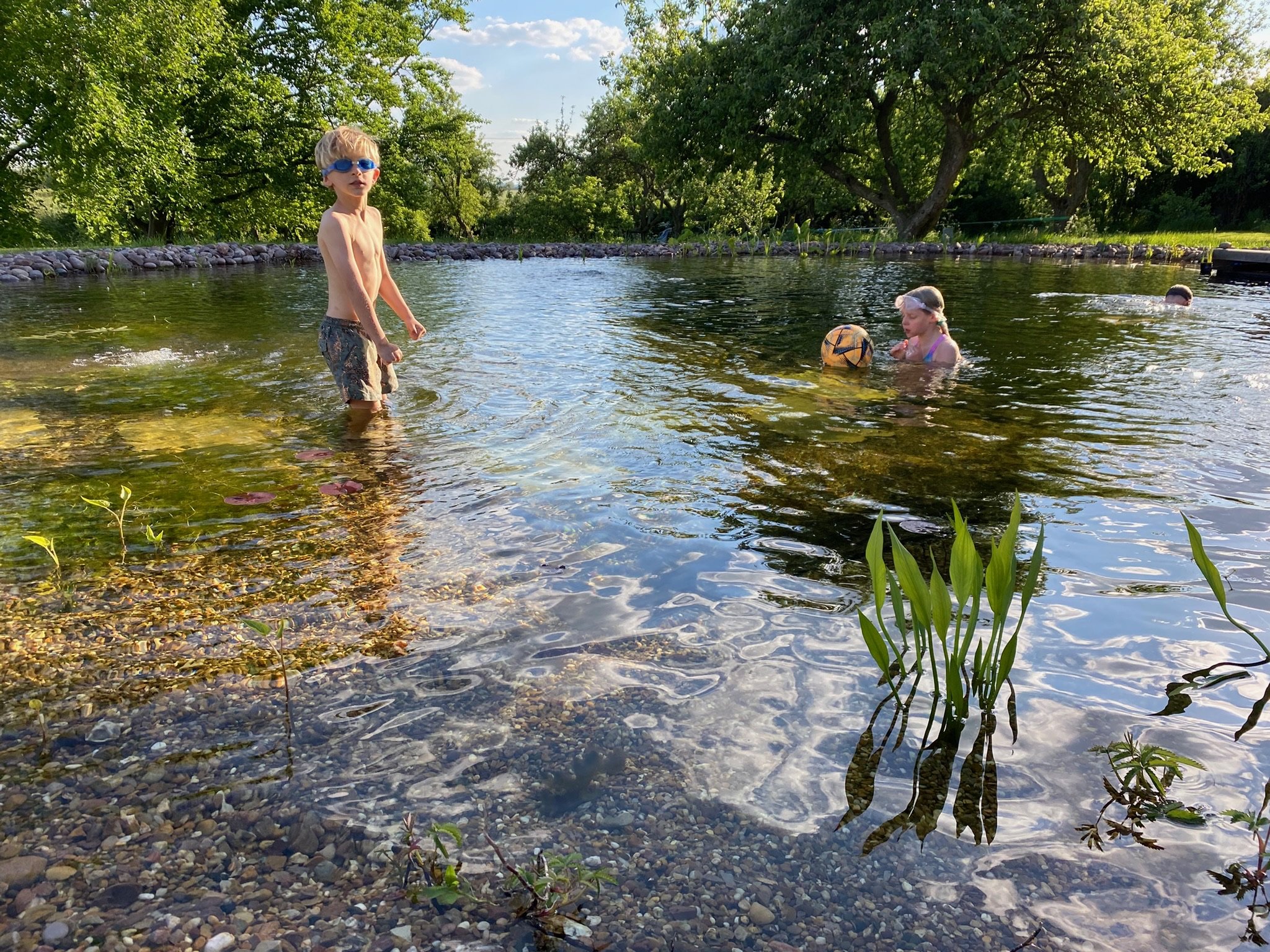 Children playing in a natural swimming pool surrounded by green trees on a sunny day.