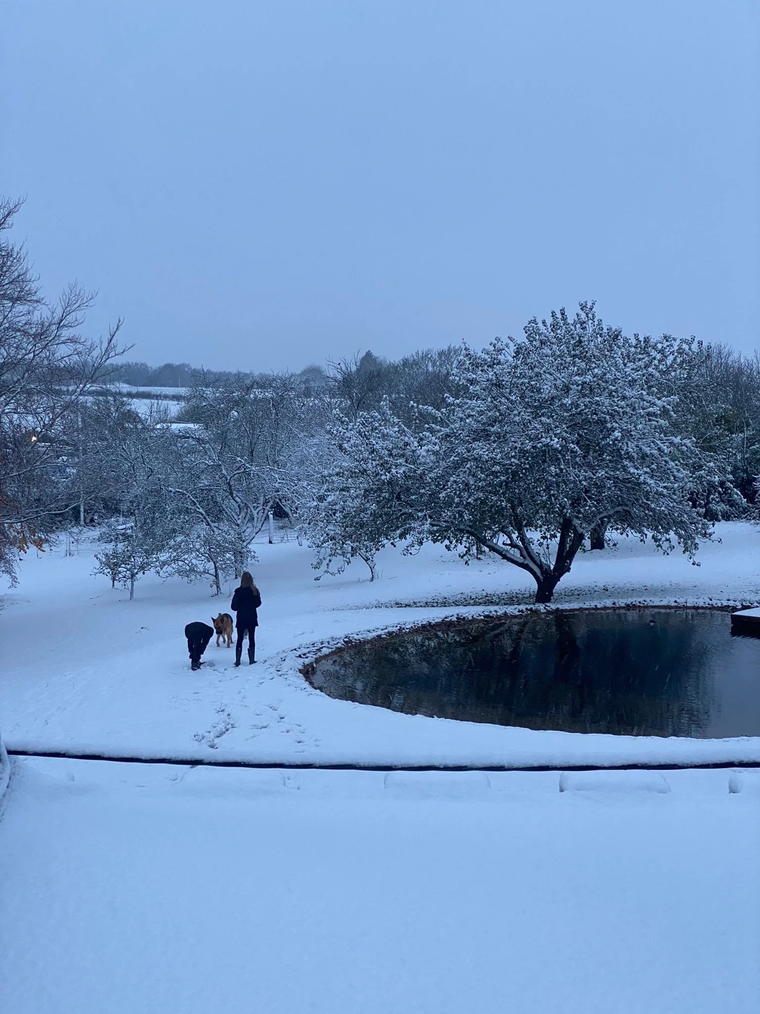 A snowy landscape with two people and a dog near a natural swimming pond, old trees with snow on their branches, and snow-covered ground.