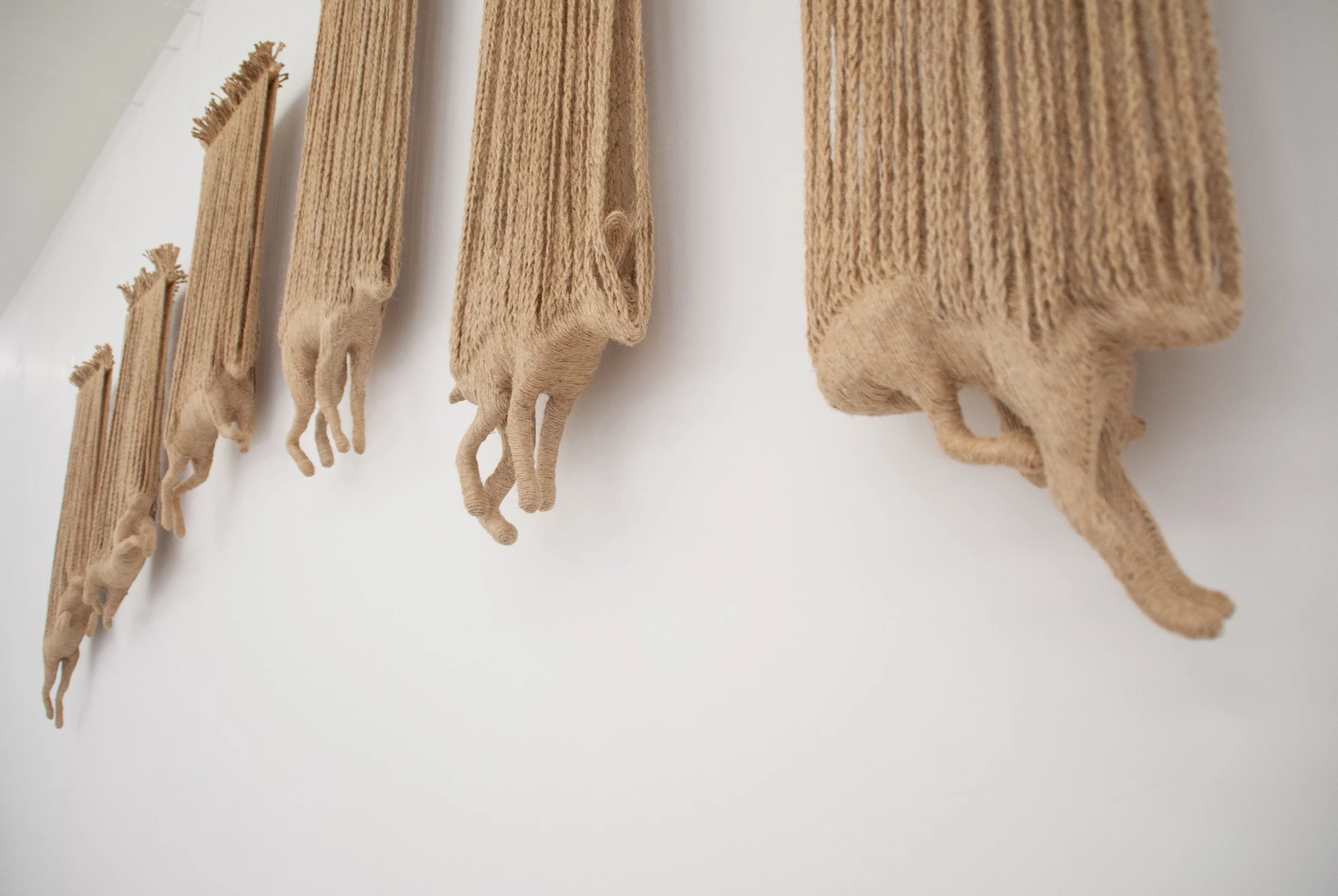 Website - Caught between a still and a rush.jpg