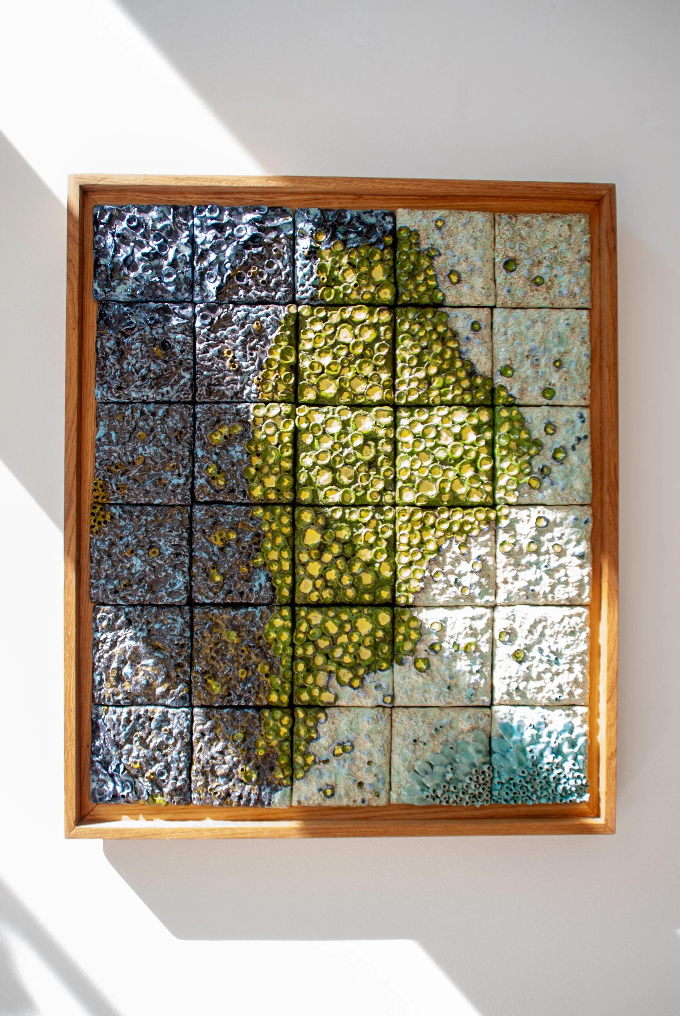 Website - For the love of lichen.jpg