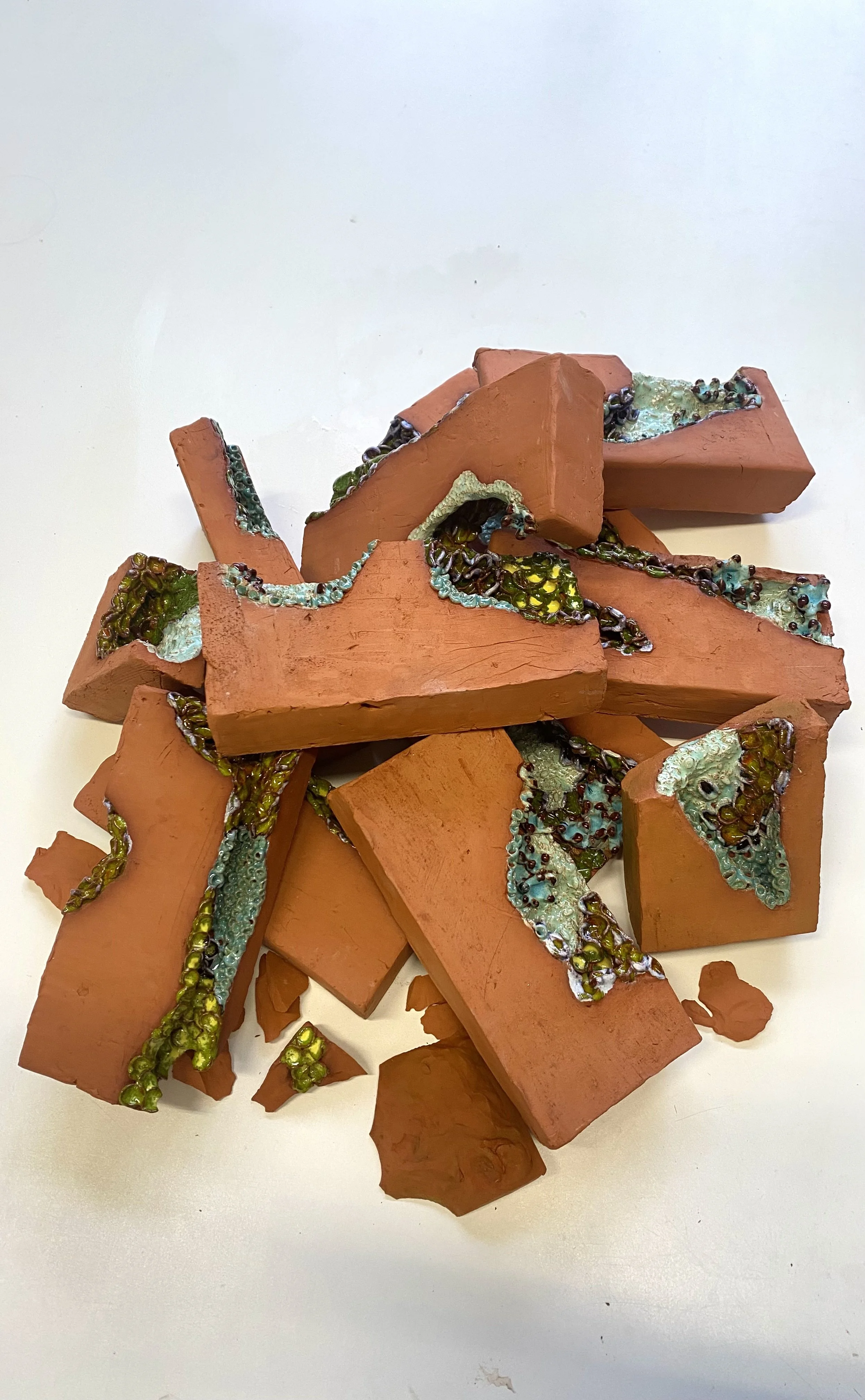 Silent Witnesses.jpeg