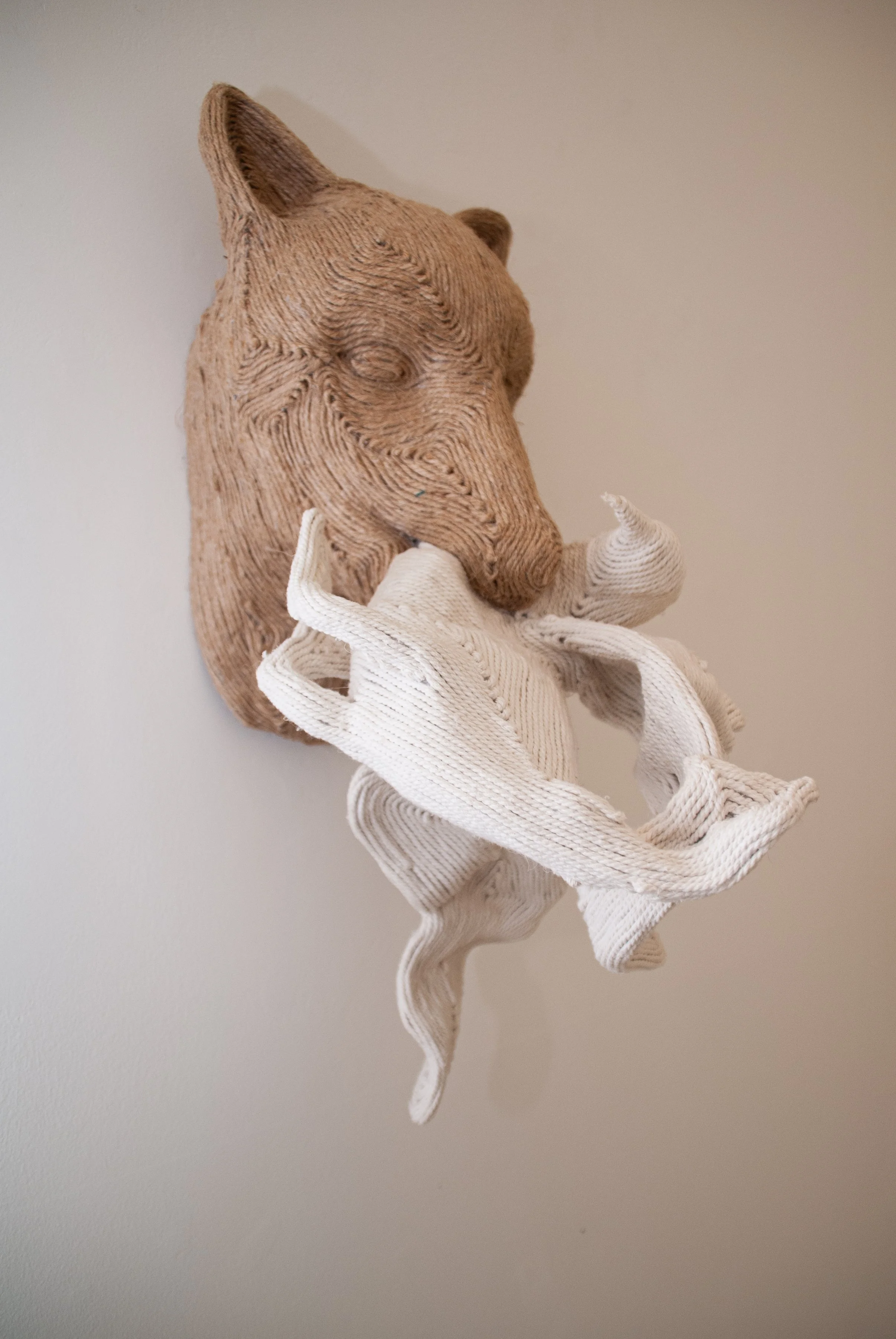 Website - Circle of life.jpg