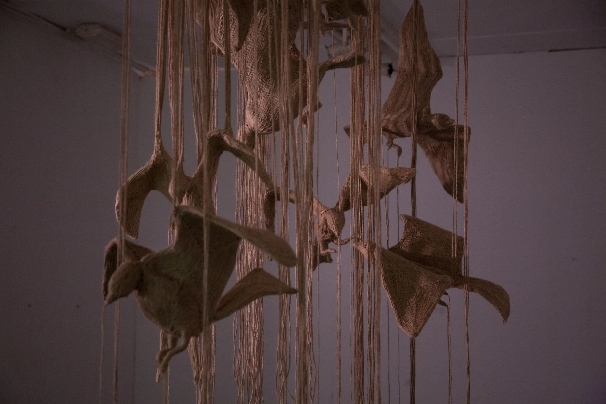 img (1 van 105) (2).jpg