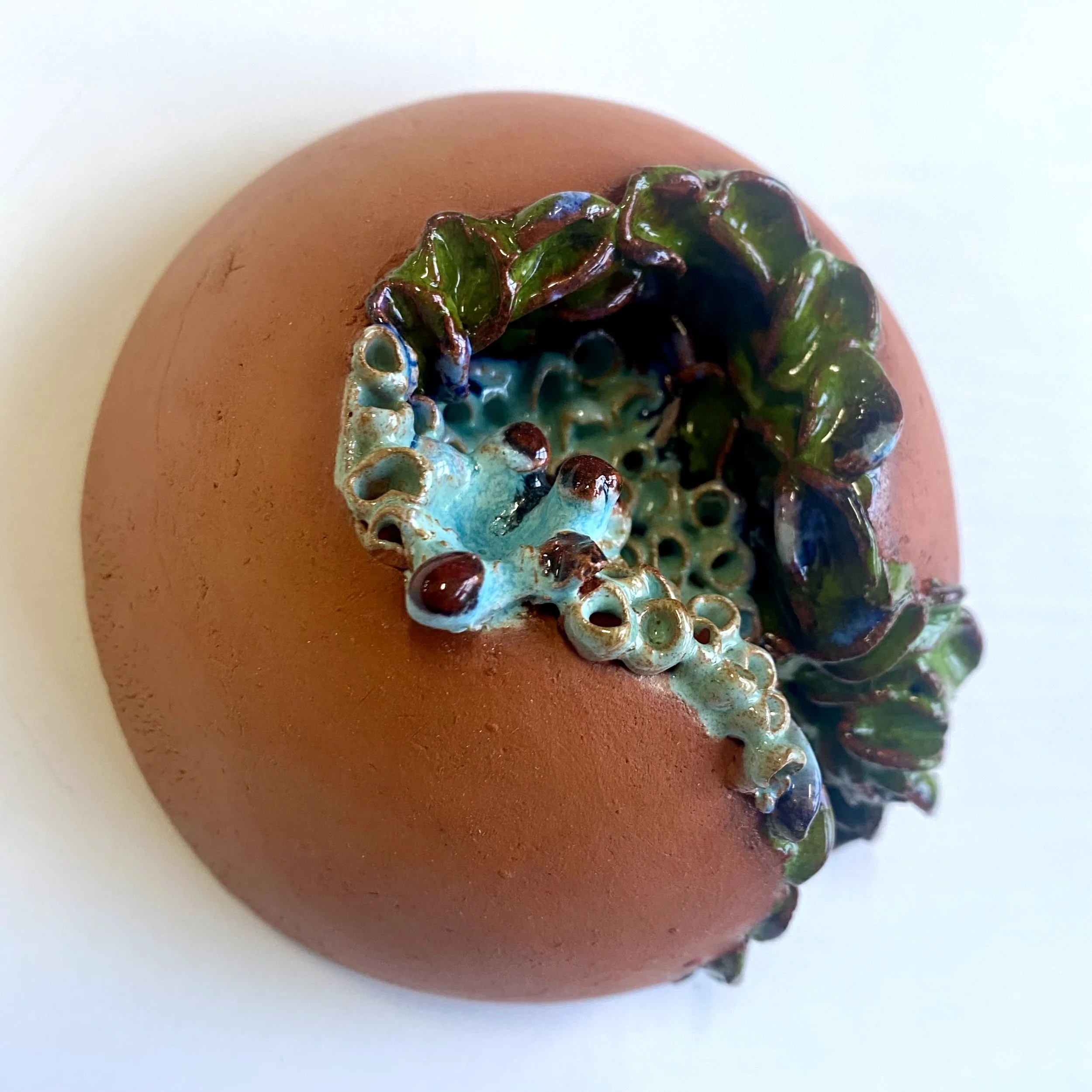 Silent Witness - sphere S - |