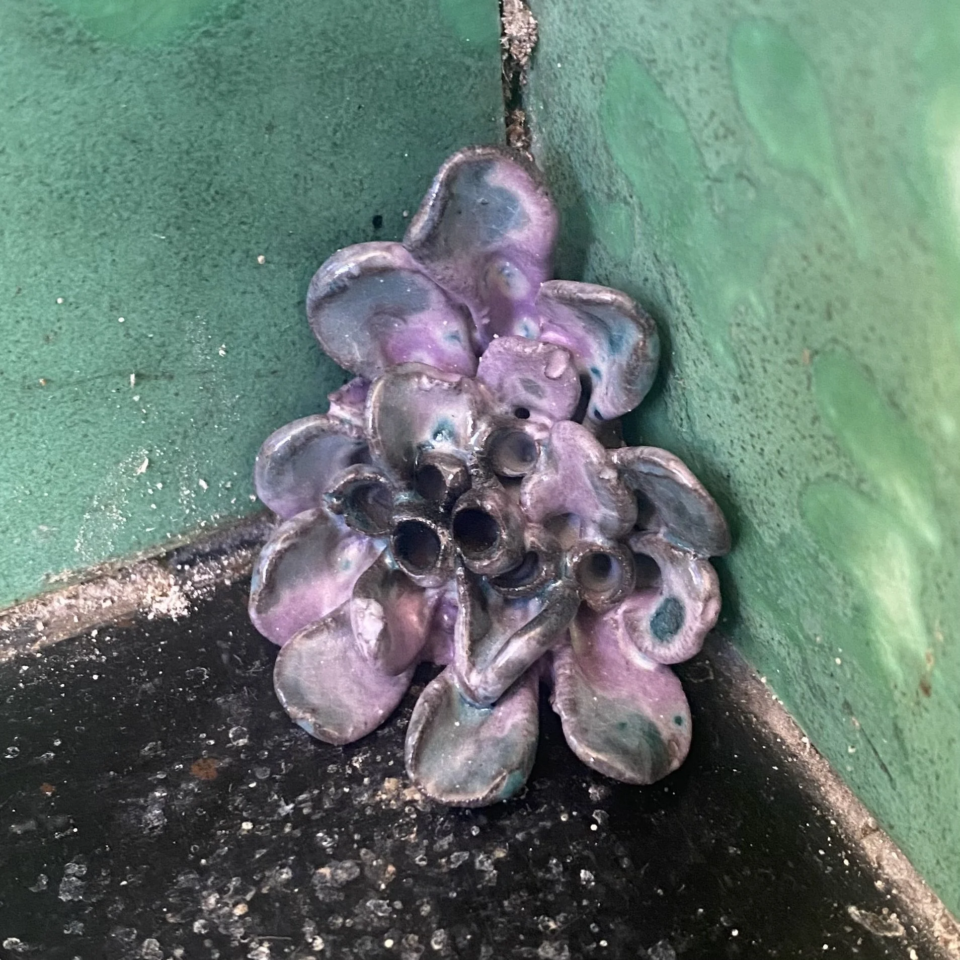 Hidden Jewel - S (purple)