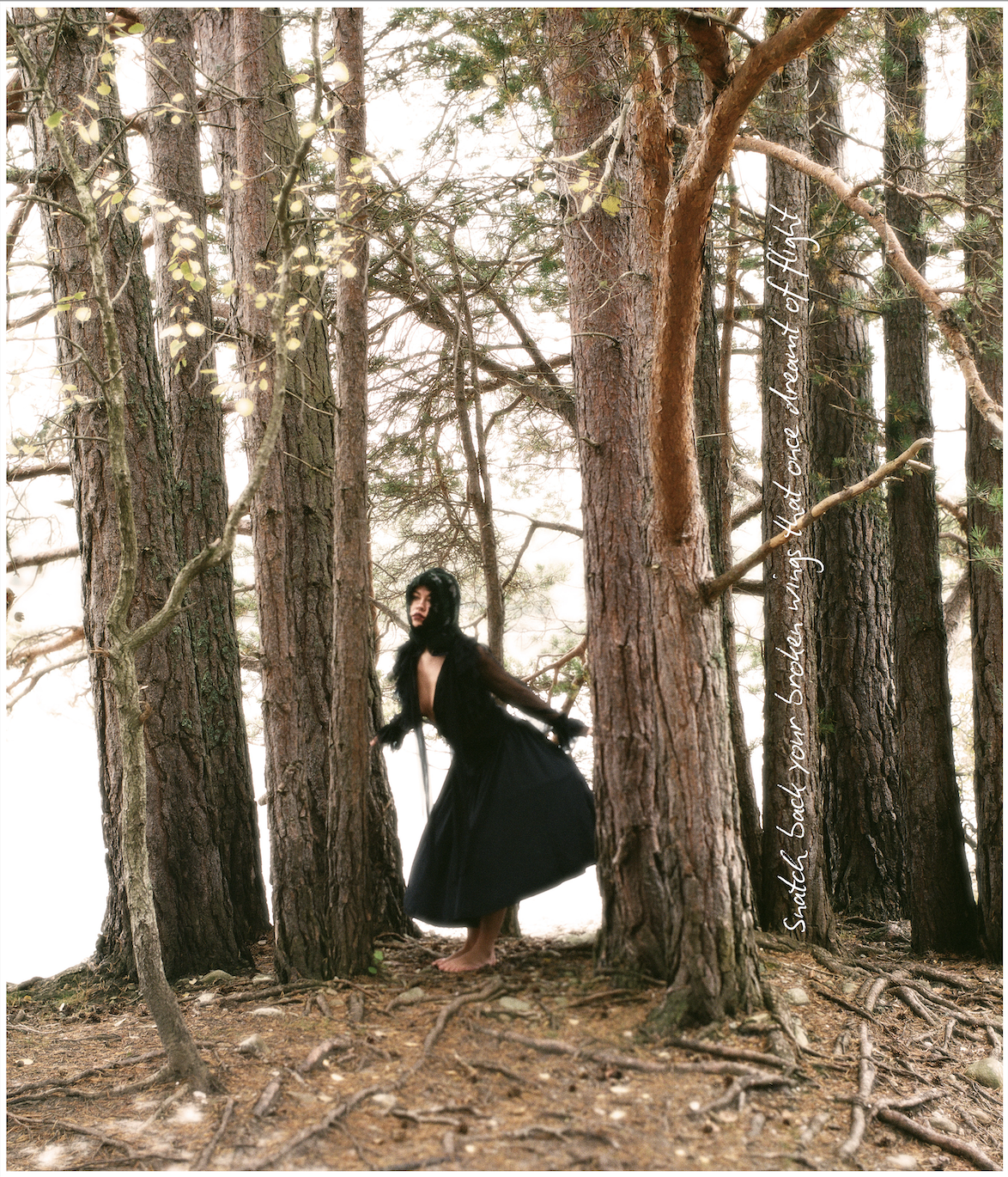 Screenshot 2026-02-05 at 11.18.14.png