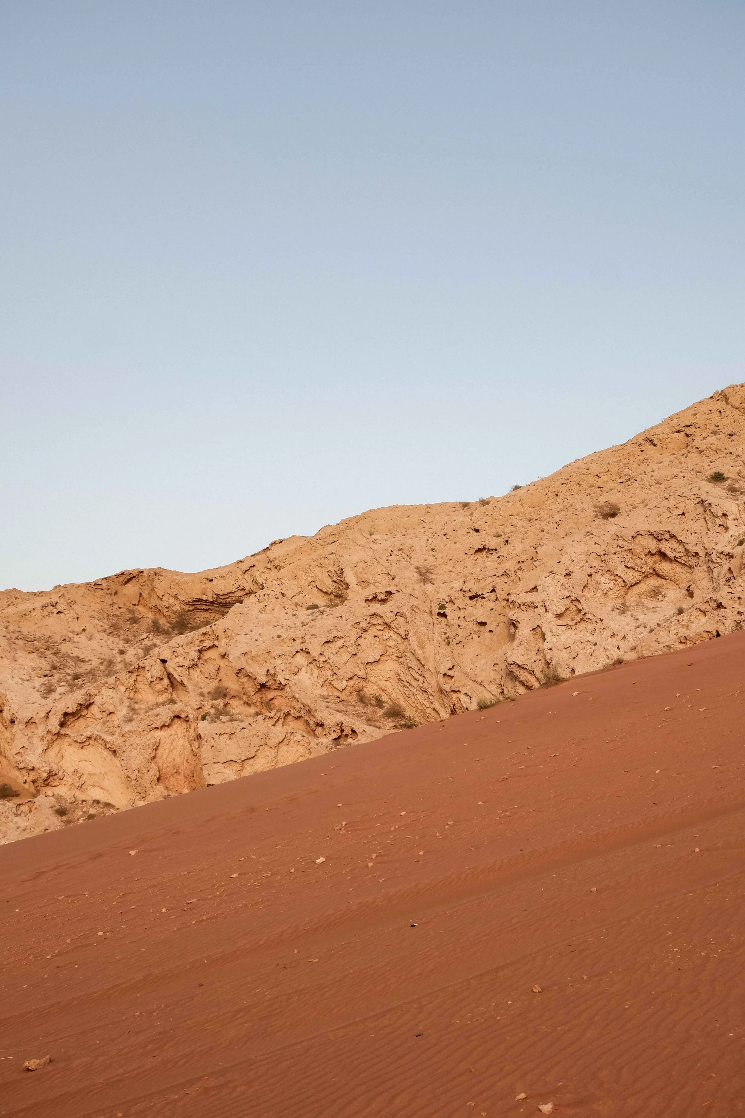 Desert Echoes Dubai desert 11-2022-57 web.jpg