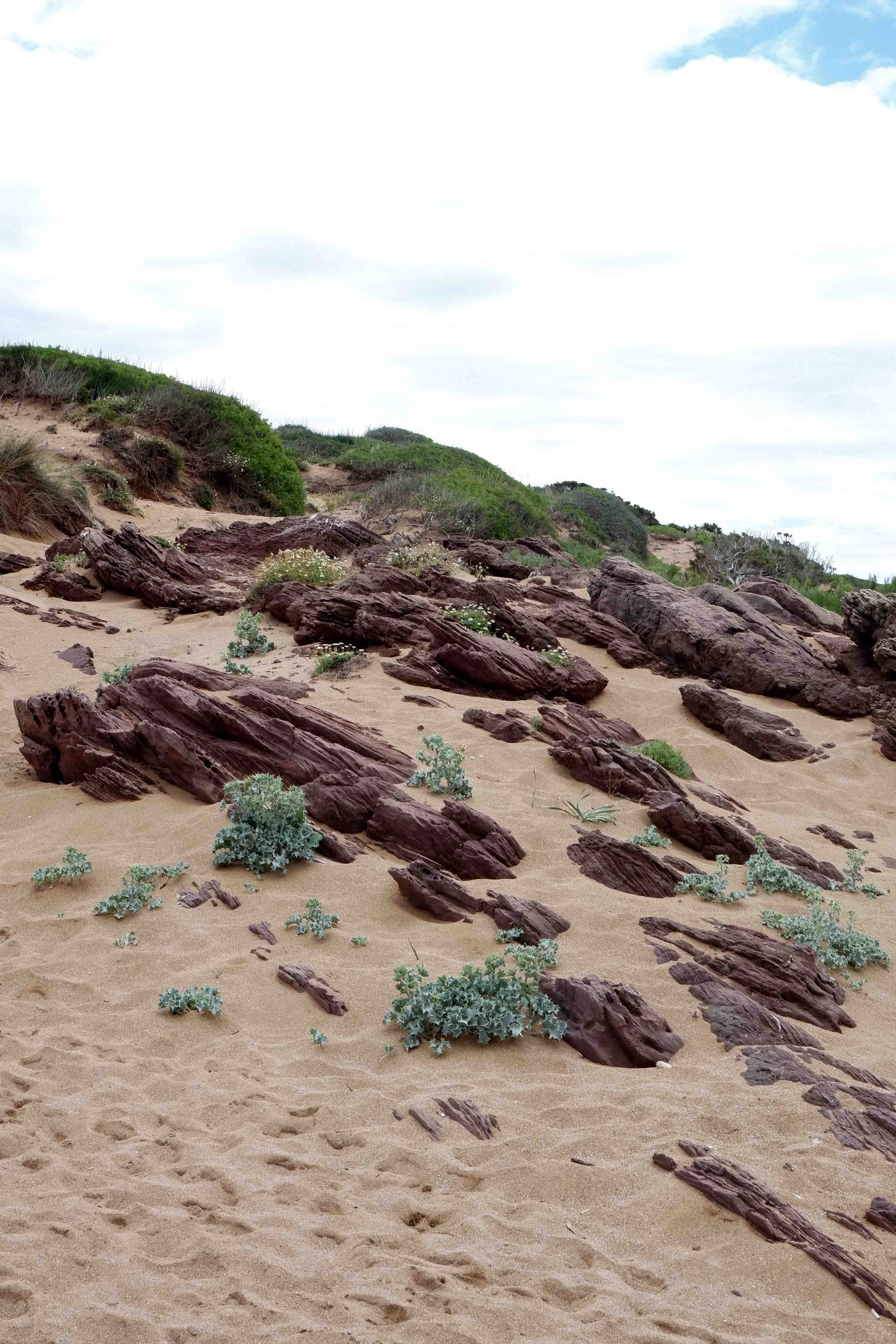 Geologies of place Menorca coast 02-2021-31 web.jpg