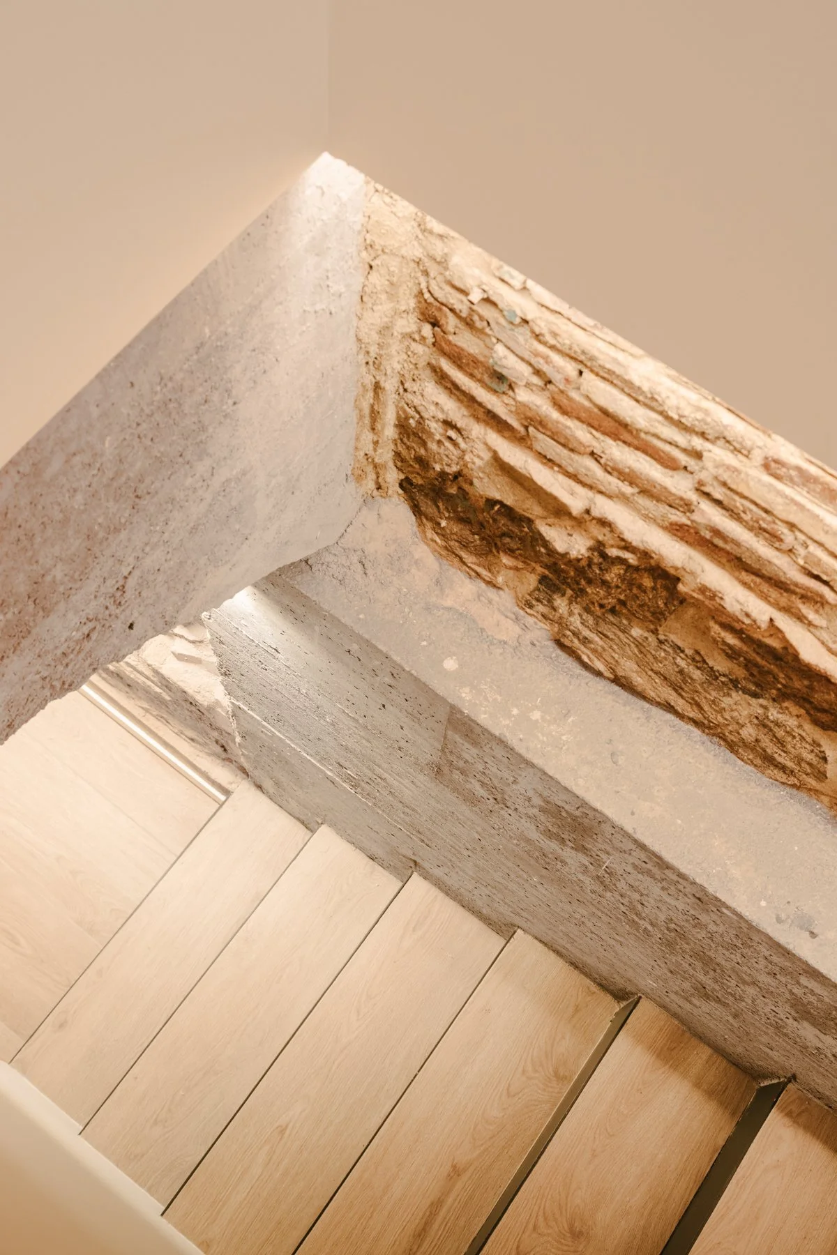 Alio-web-26.jpg