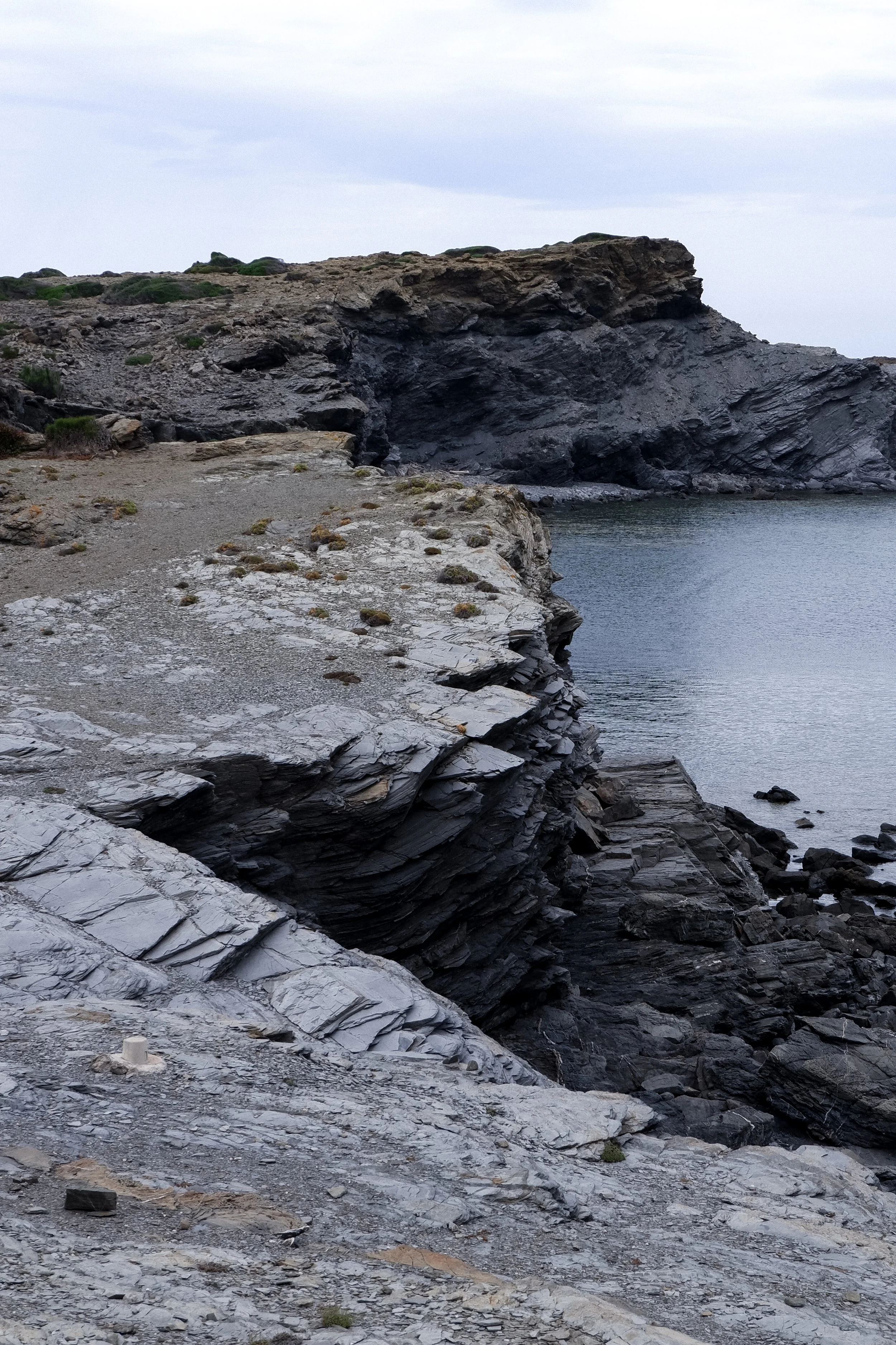 Tides and Edges 13-2023-68.jpg
