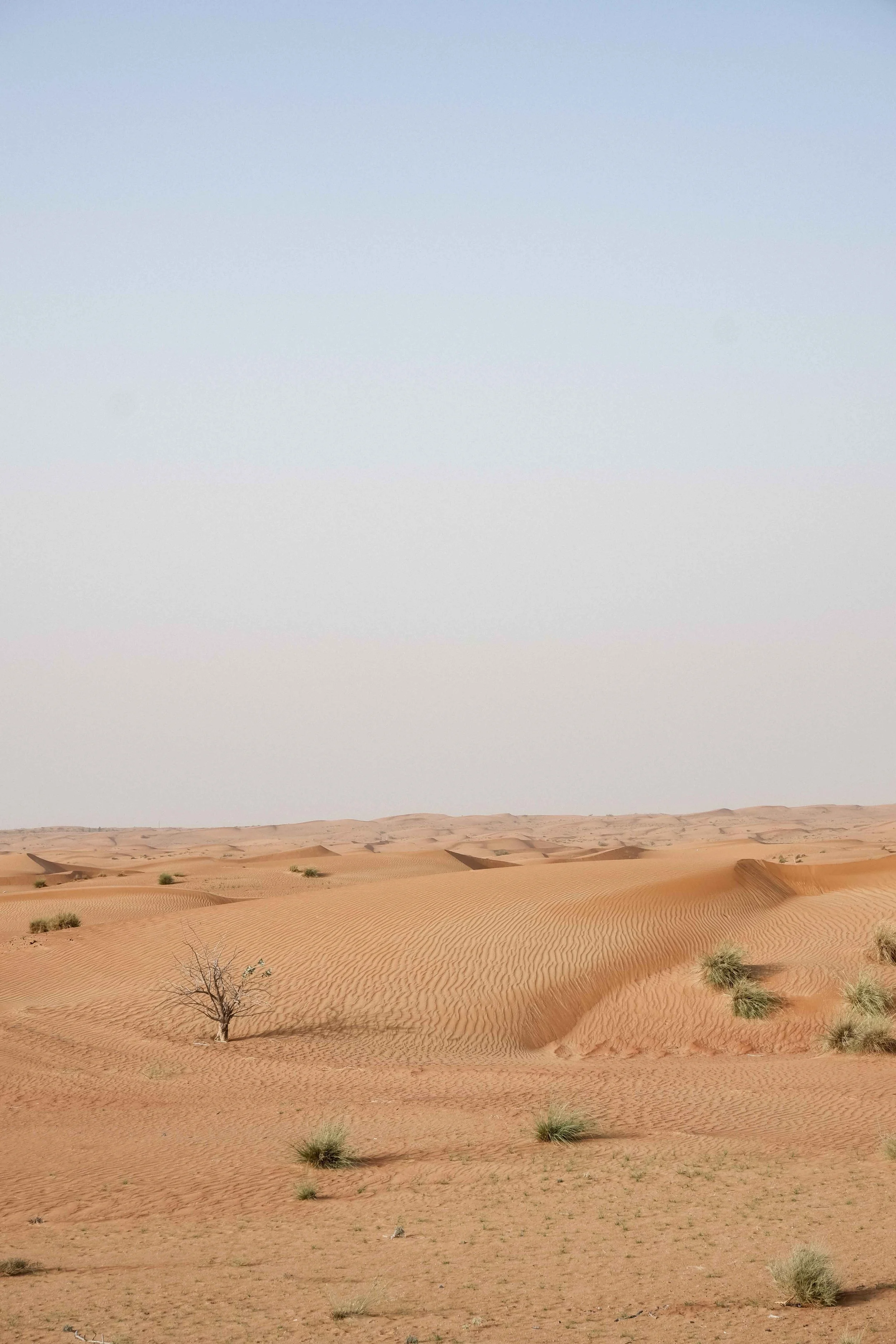 Desert Echoes Dubai desert 04-2022-49 web.jpg
