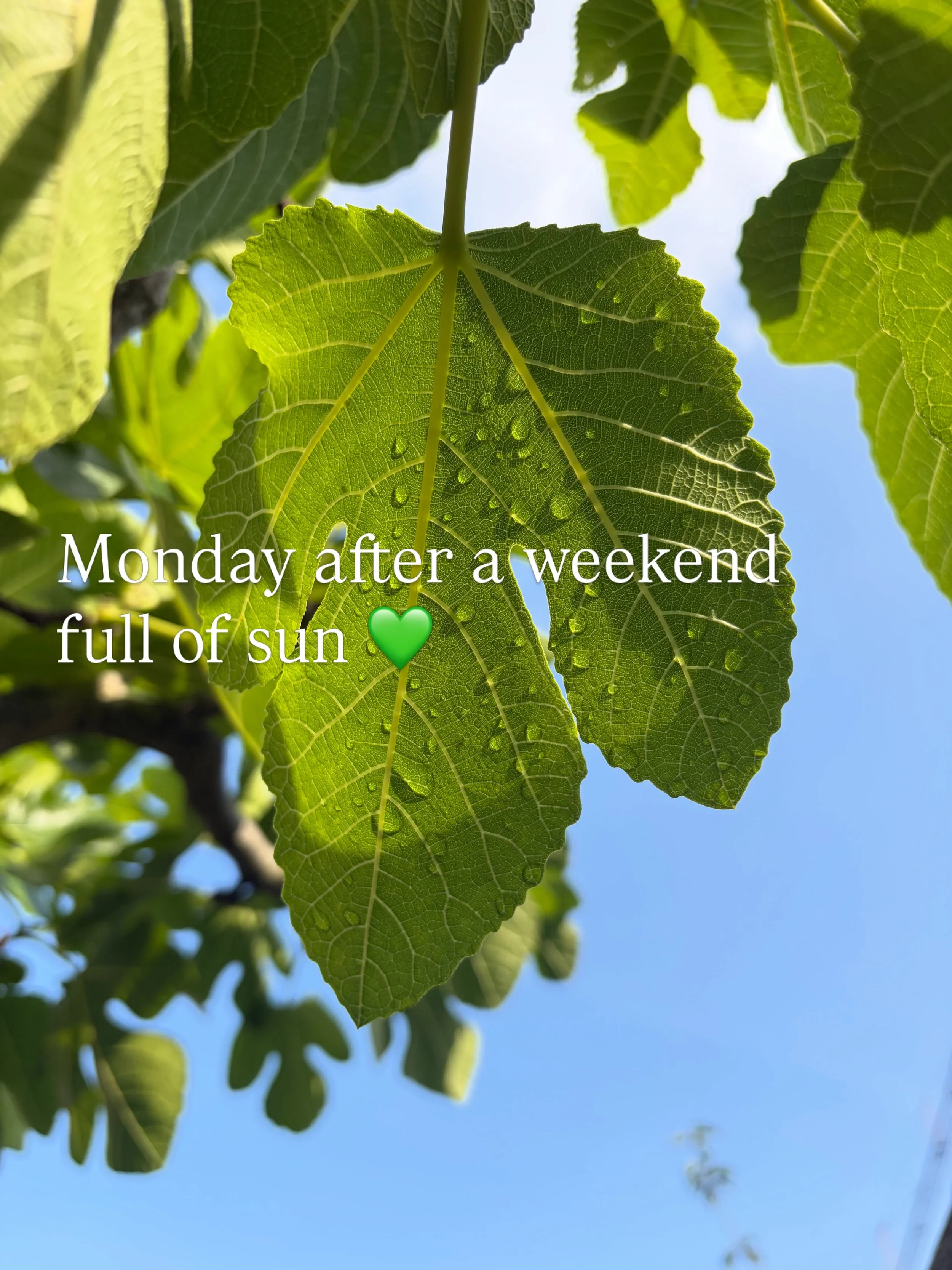 Monday reminiscing about the weekend 💚☀️