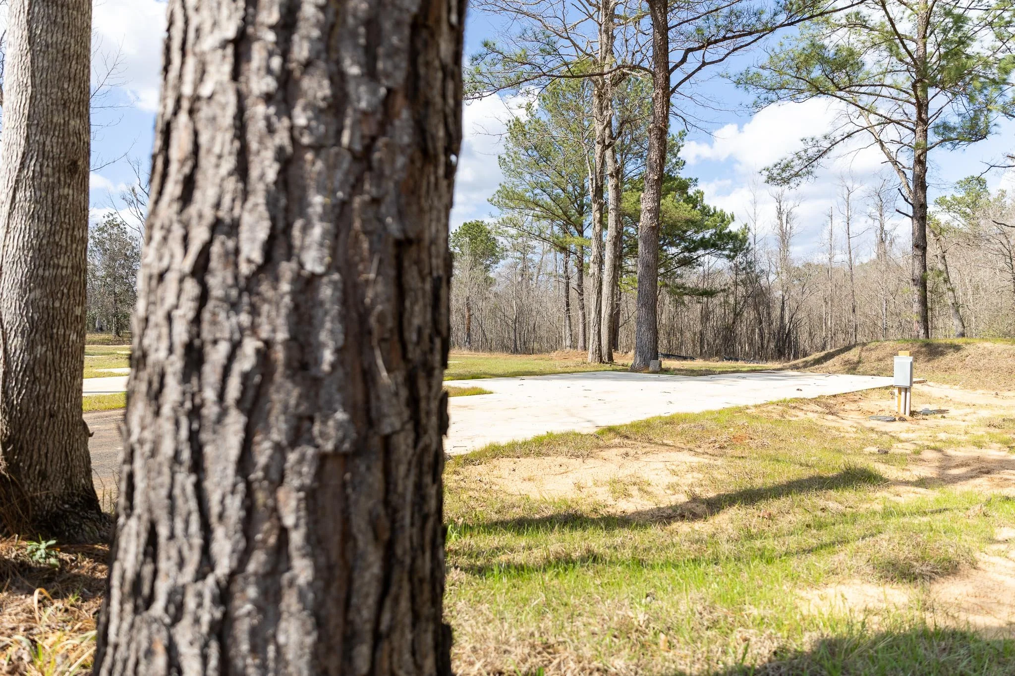 An RV pad surrounding by woods at Chumuckla Springs RV Resort in Northwest Florida
