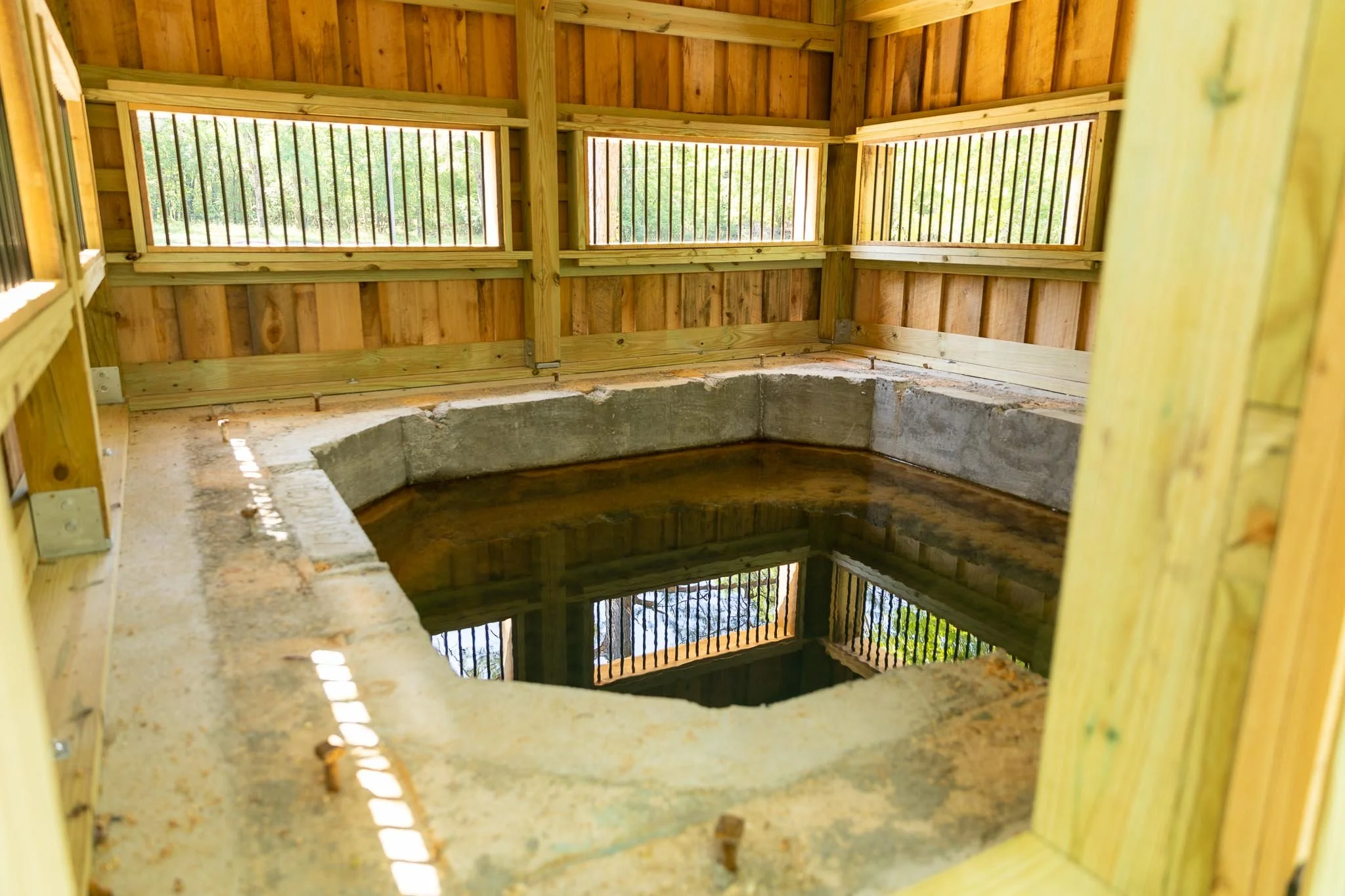 The Rise and Fall of Florida’s Mineral Springs Tourism
