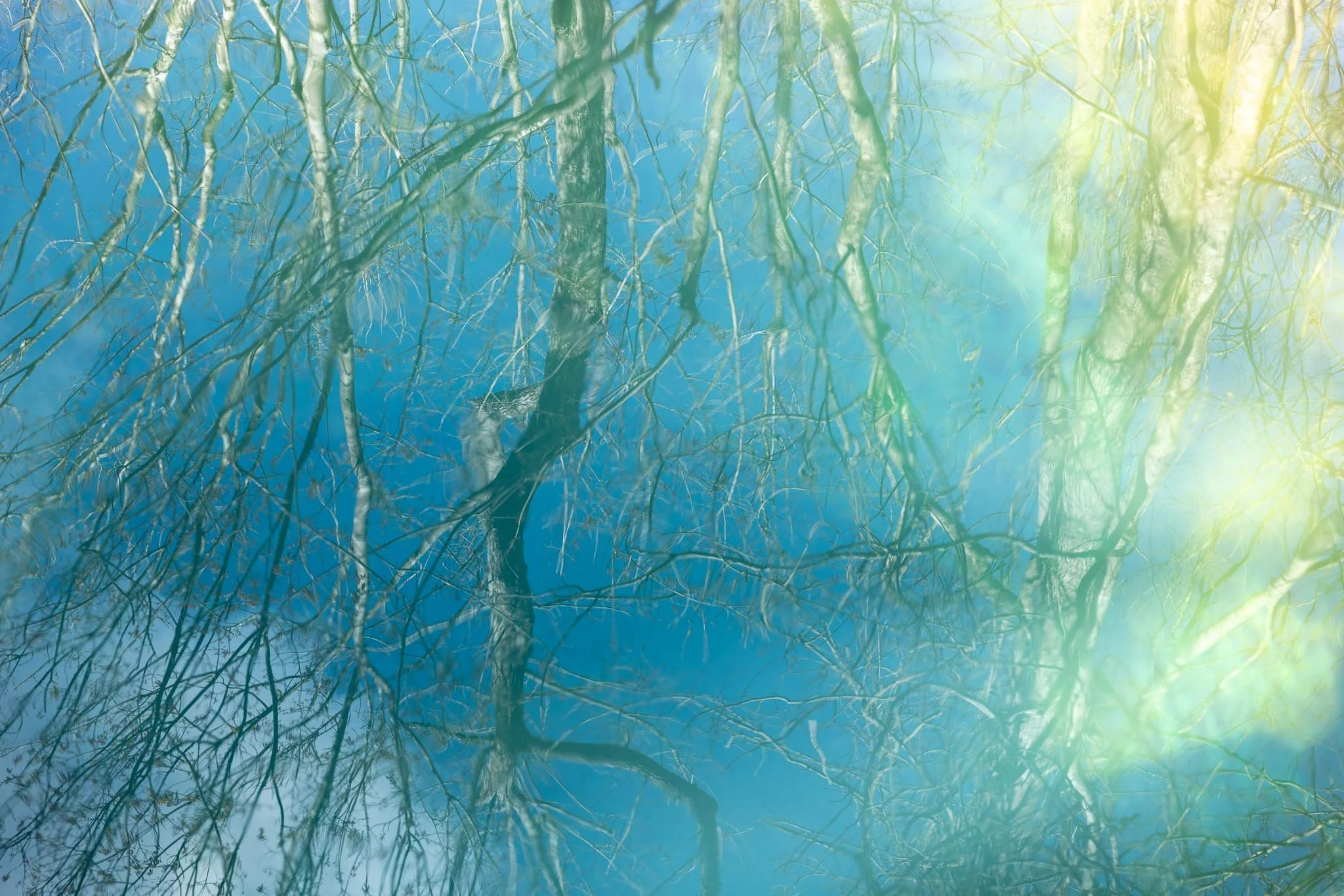 Reflection of trees in calm blue water along the Escambia River near Chumuckla Springs RV Resort in Northwest Florida